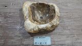 Natural Handmade Petrified Wood Basin - FSN 2507205