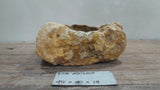 Natural Handmade Petrified Wood Basin - FSN 2507205