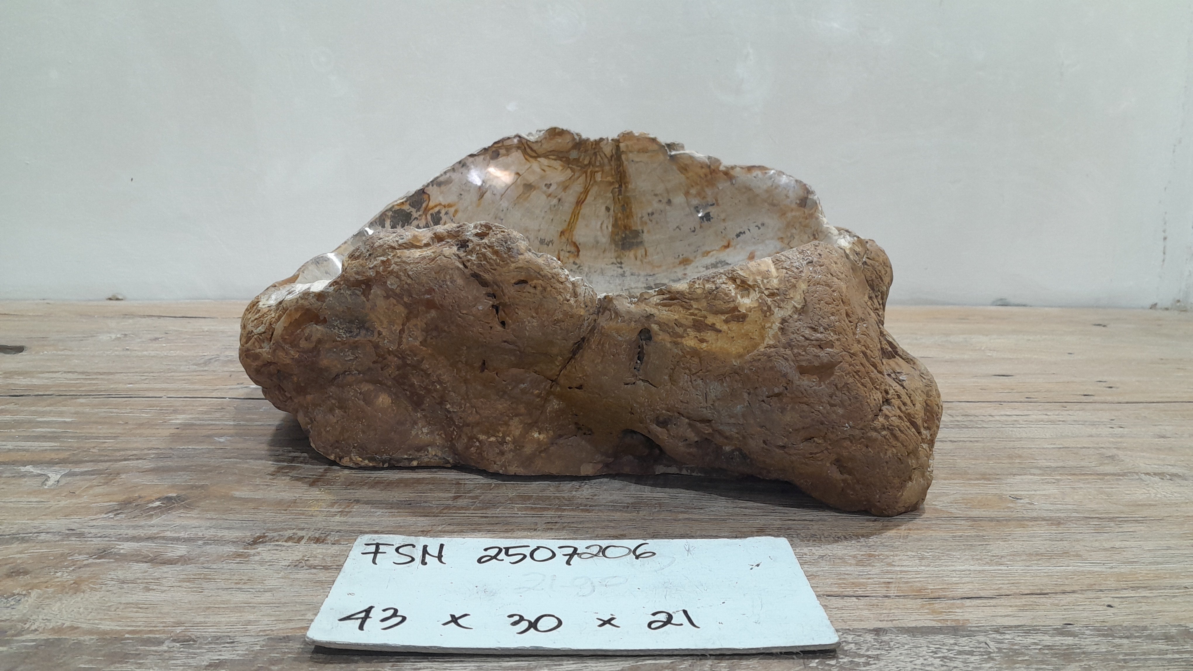 Natural Handmade Petrified Wood Basin - FSN 2507206