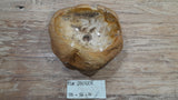 Natural Handmade Petrified Wood Basin - FSN 2507208