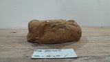 Natural Handmade Petrified Wood Basin - FSN 2507208