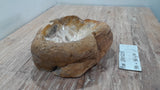 Natural Handmade Petrified Wood Basin - FSN 2507208