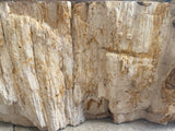 Natural Handmade Petrified Wood Basin - FSB231039
