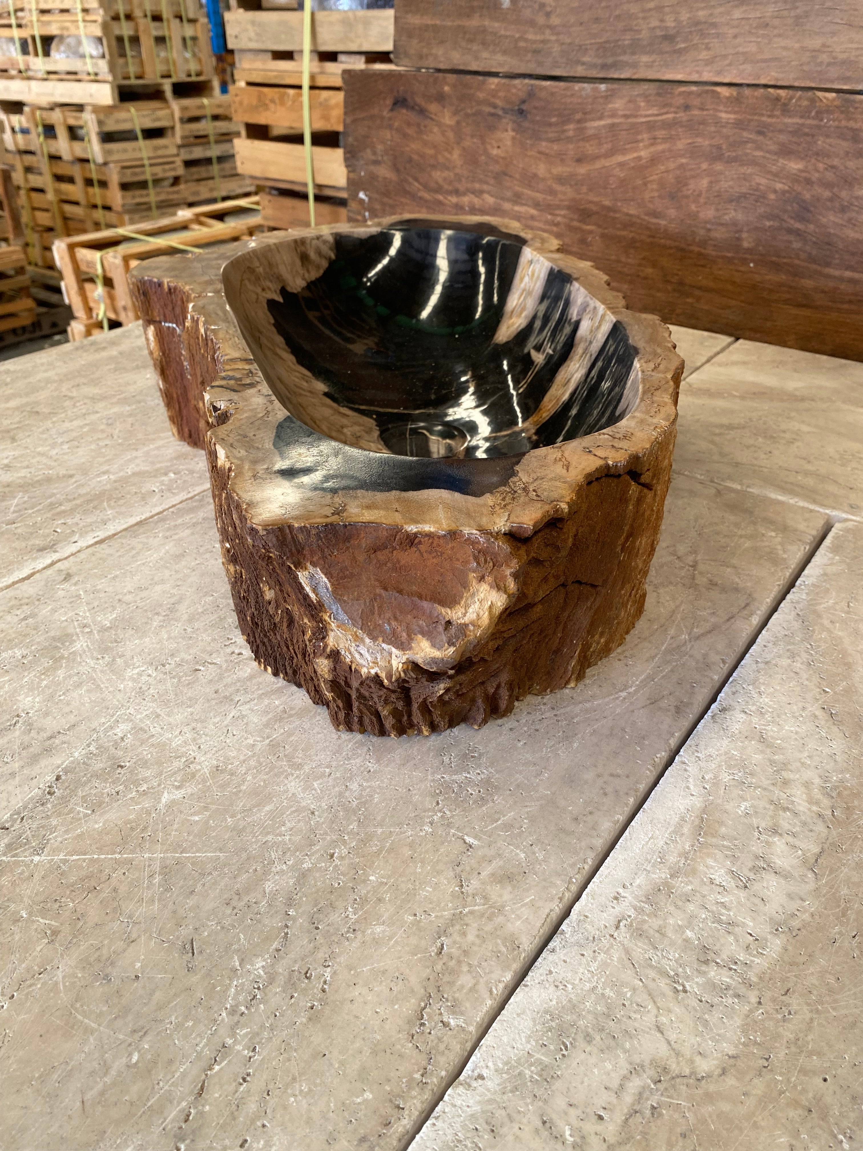 Natural Handmade Petrified Wood Basin - FSB231042