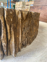 Natural Handmade Petrified Wood Basin - FSB231025