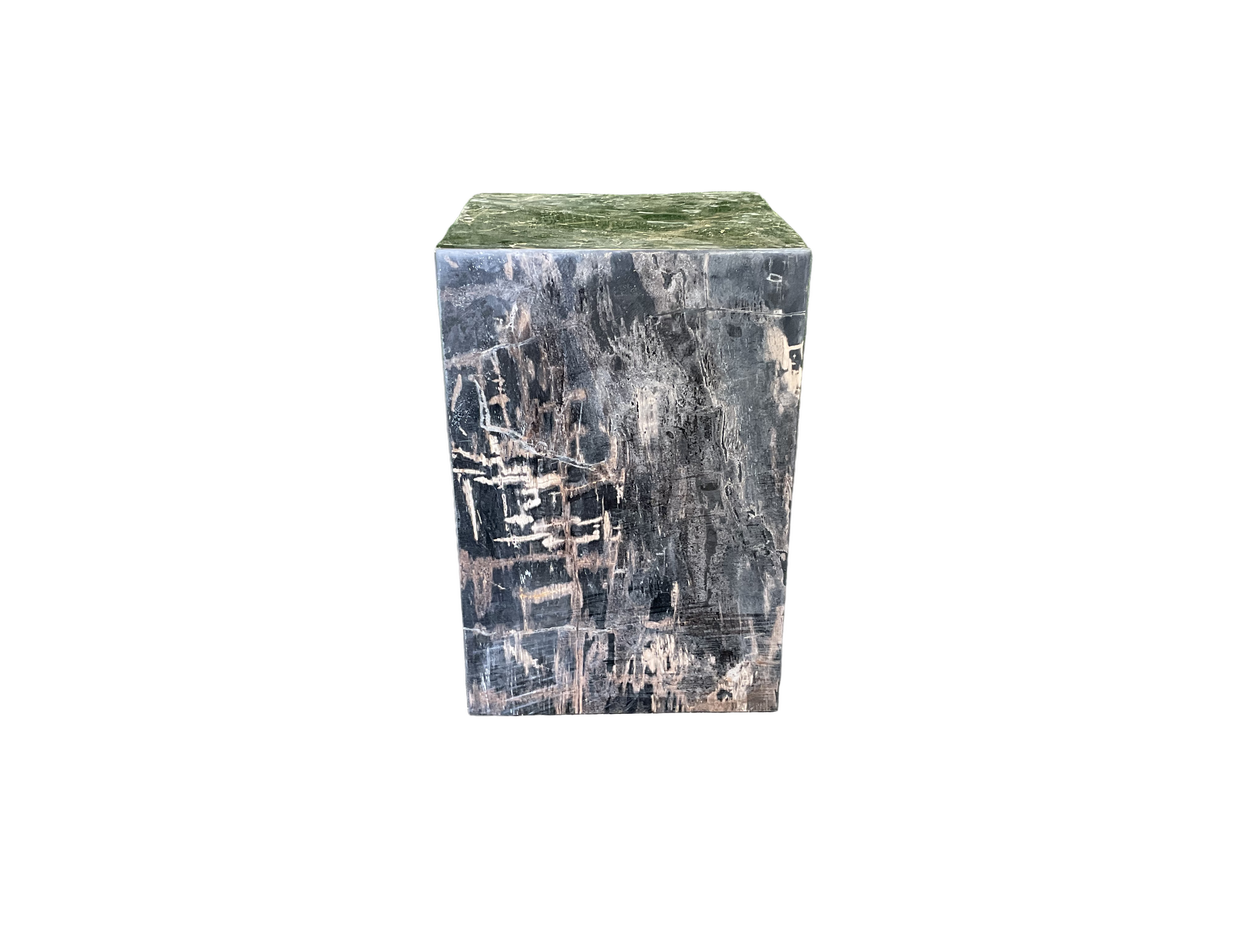 Petrified Wood Side Table - PT04