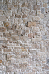 Natural Stone Wall Cladding Ledgestone - Crema Noche