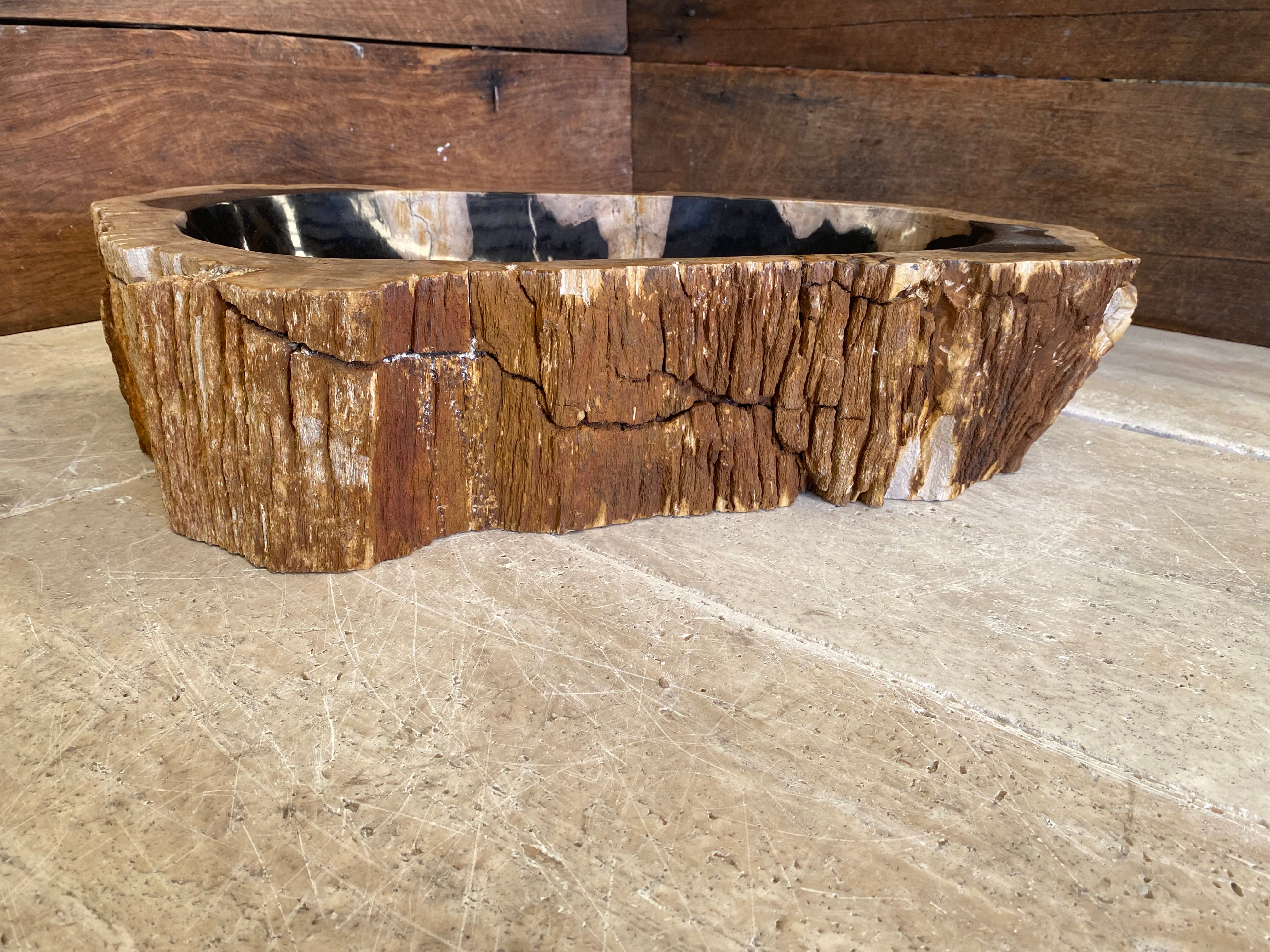 Natural Handmade Petrified Wood Basin - FSB231042