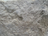 Hand Chiselled Limestone Planter Pot - 240924 - 61x38x27cm