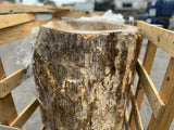 Hand Chiseled Petrified Wood Pedestal Basin - 03