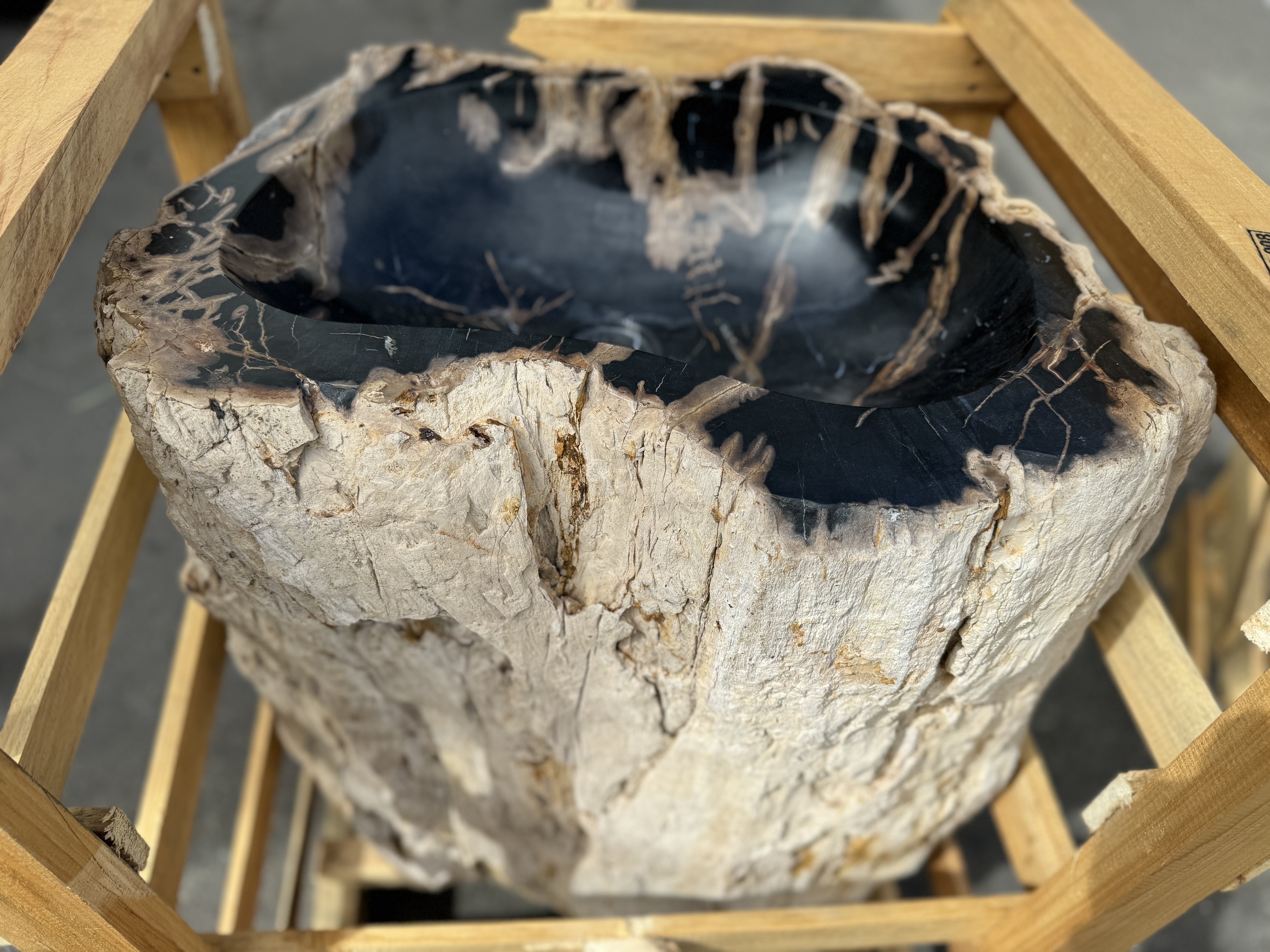Hand Chiseled Petrified Wood Pedestal Basin - 01