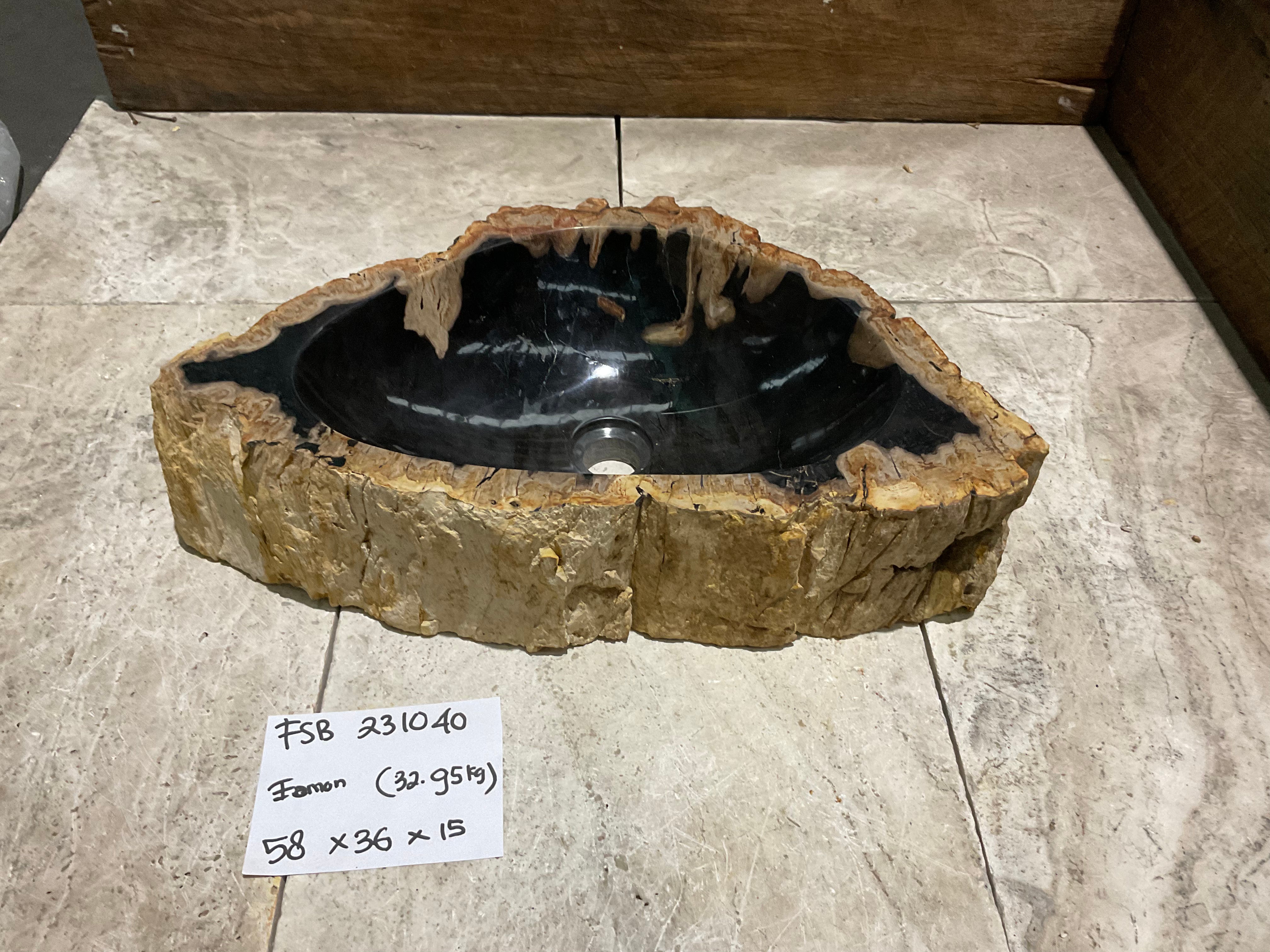 Natural Handmade Petrified Wood Basin - FSB 231040