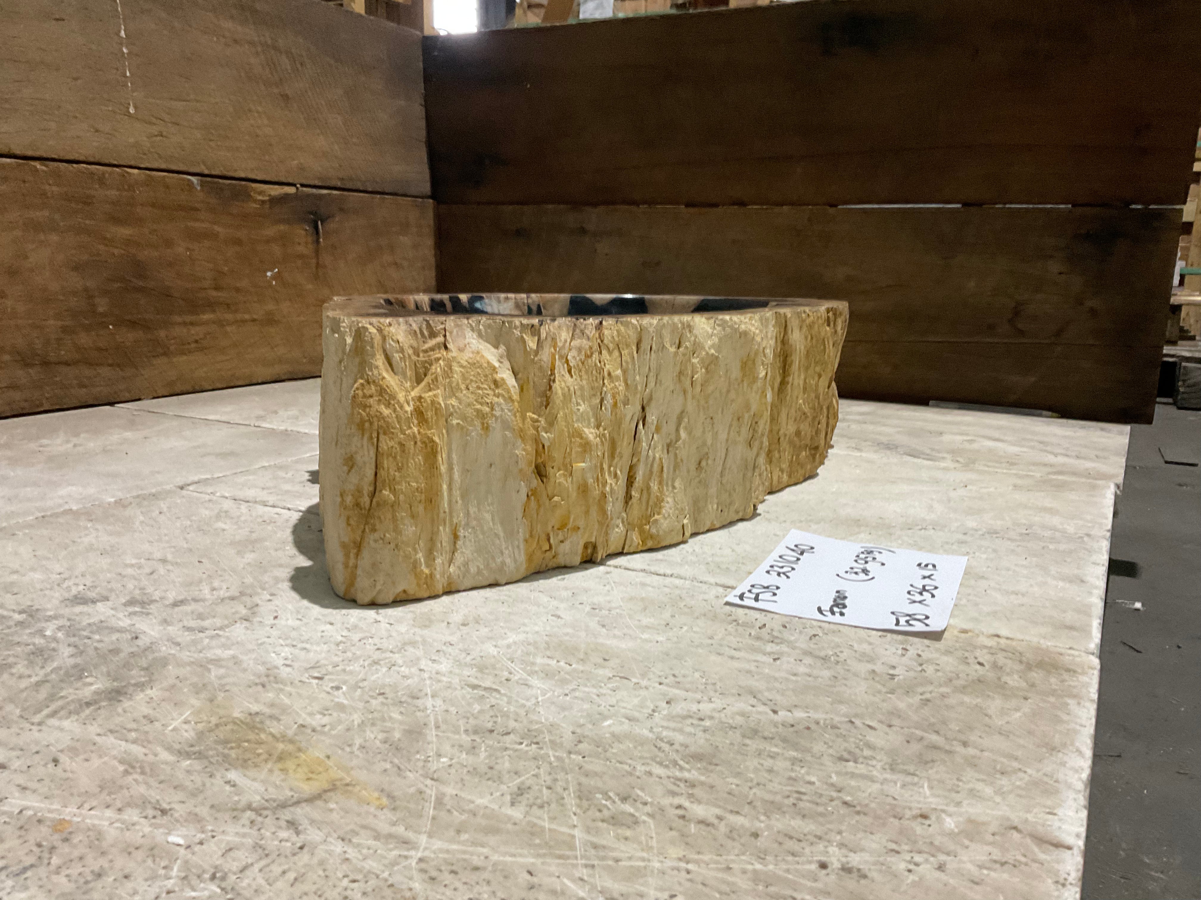 Natural Handmade Petrified Wood Basin - FSB 231040