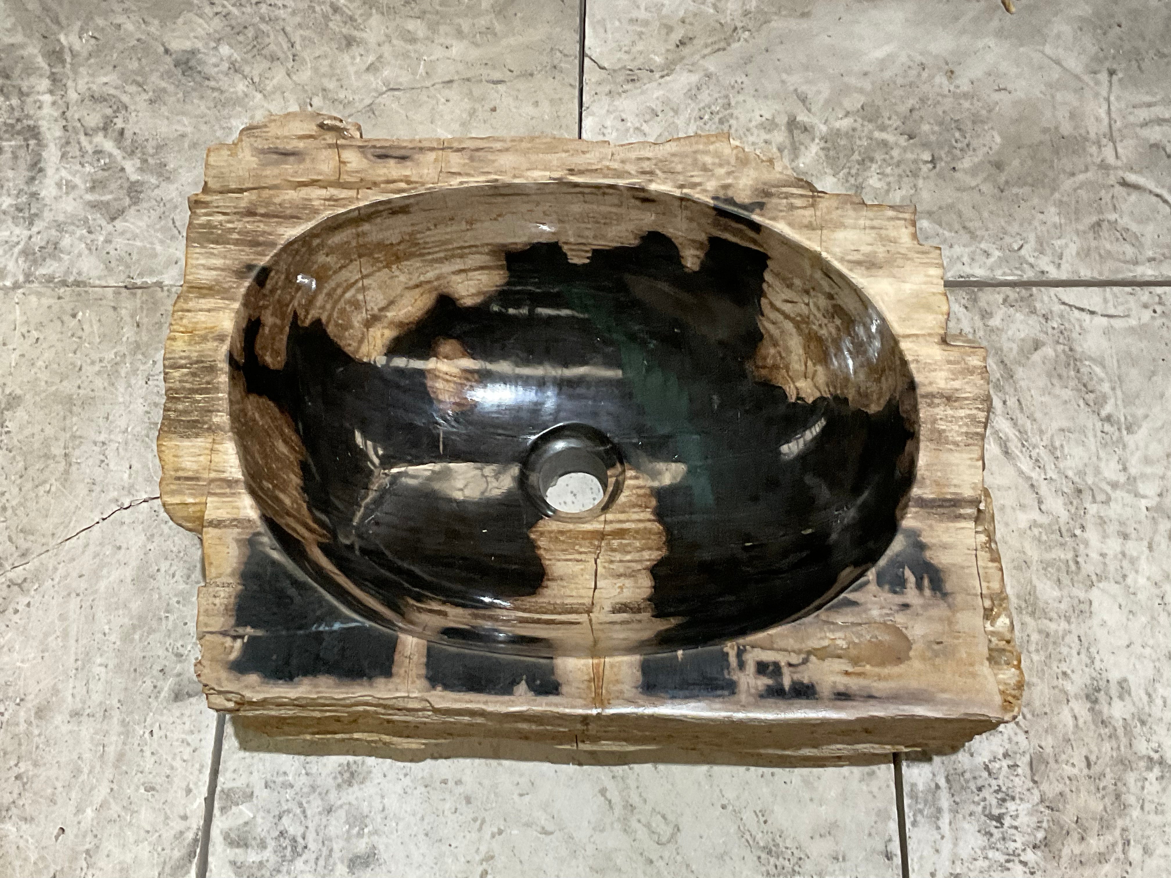 Natural Handmade Petrified Wood Basin - FSB 231007