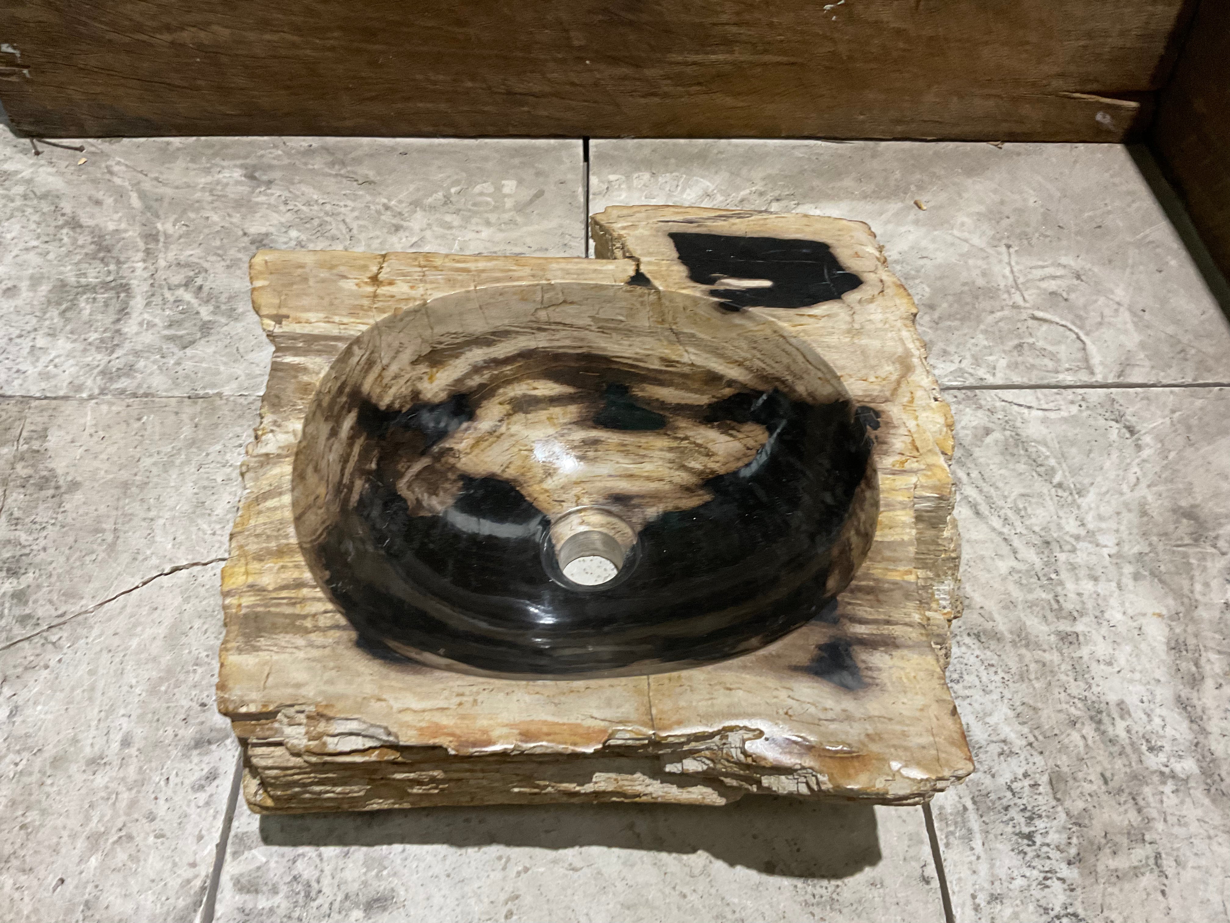 Natural Handmade Petrified Wood Basin - FSB 231009