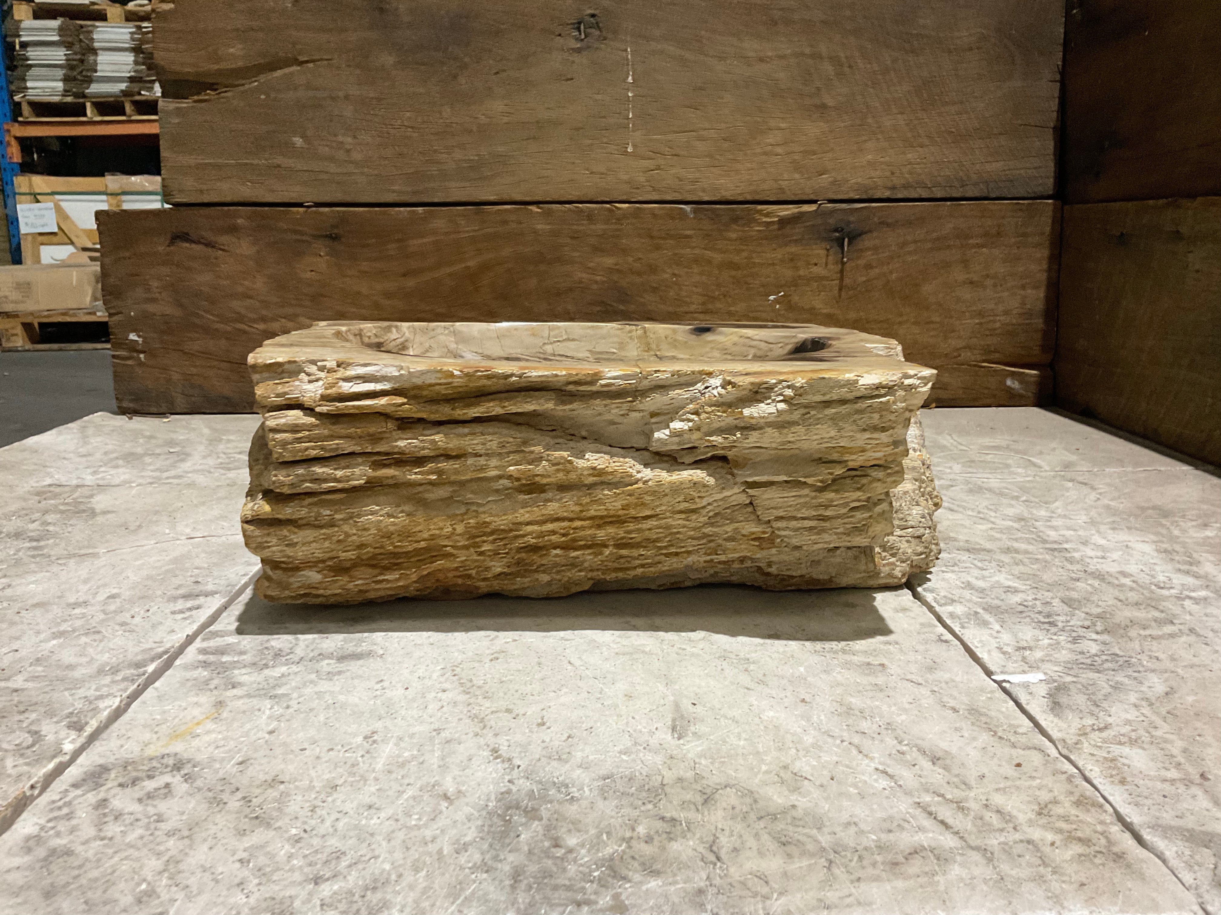 Natural Handmade Petrified Wood Basin - FSB 231009