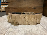 Natural Handmade Petrified Wood Basin - FSB 231022