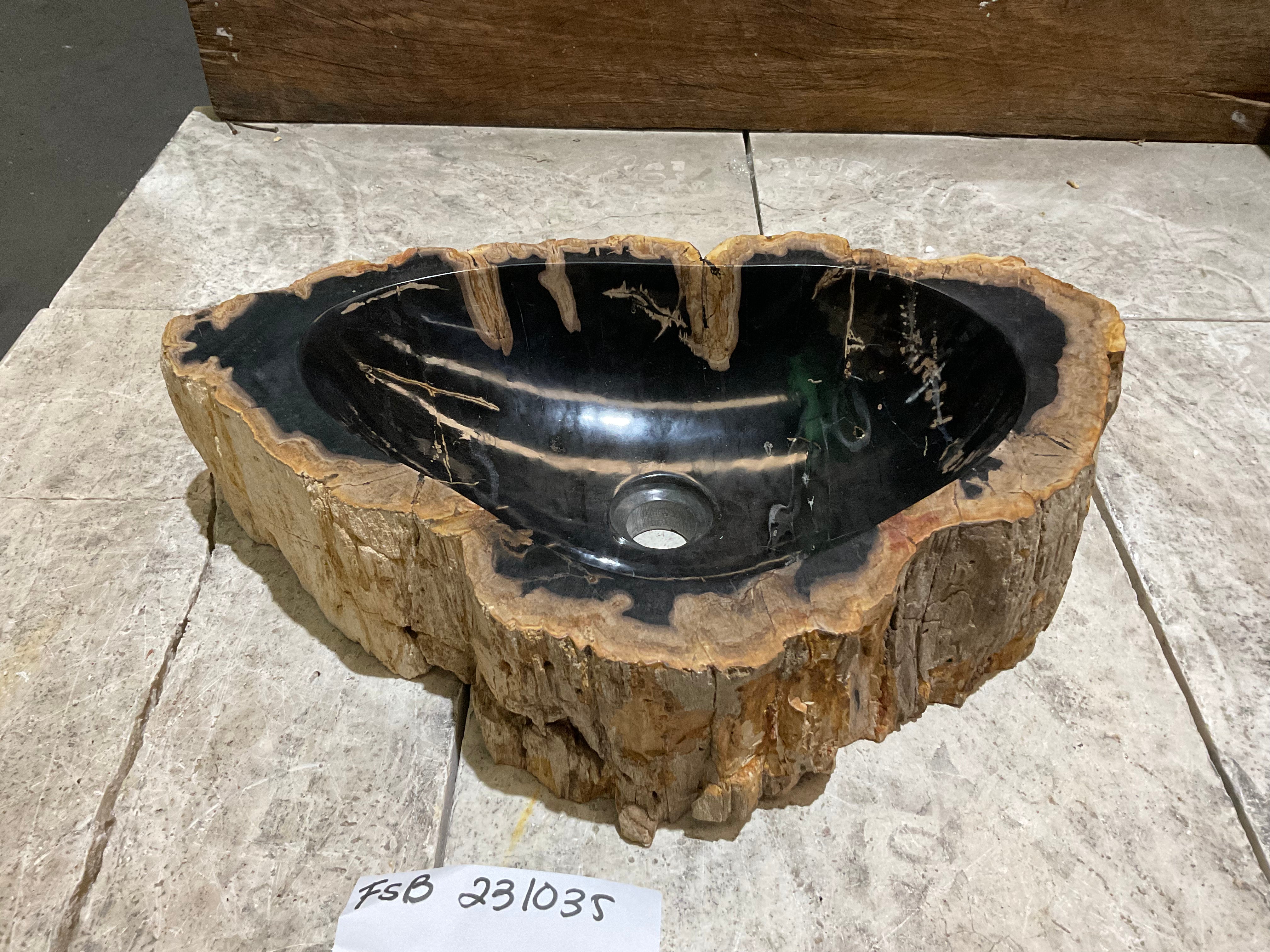 Natural Handmade Petrified Wood Basin - FSB 231035