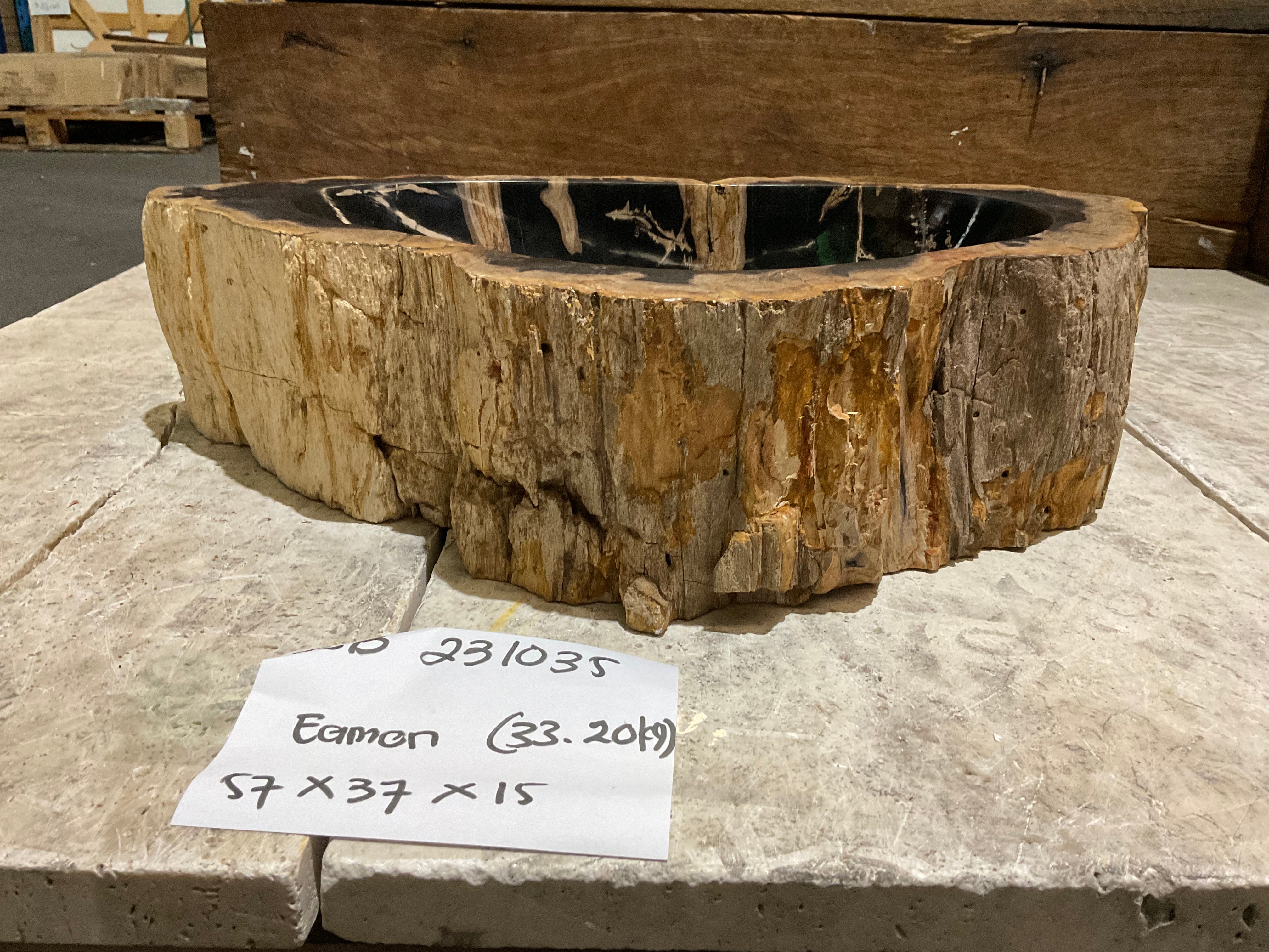 Natural Handmade Petrified Wood Basin - FSB 231035