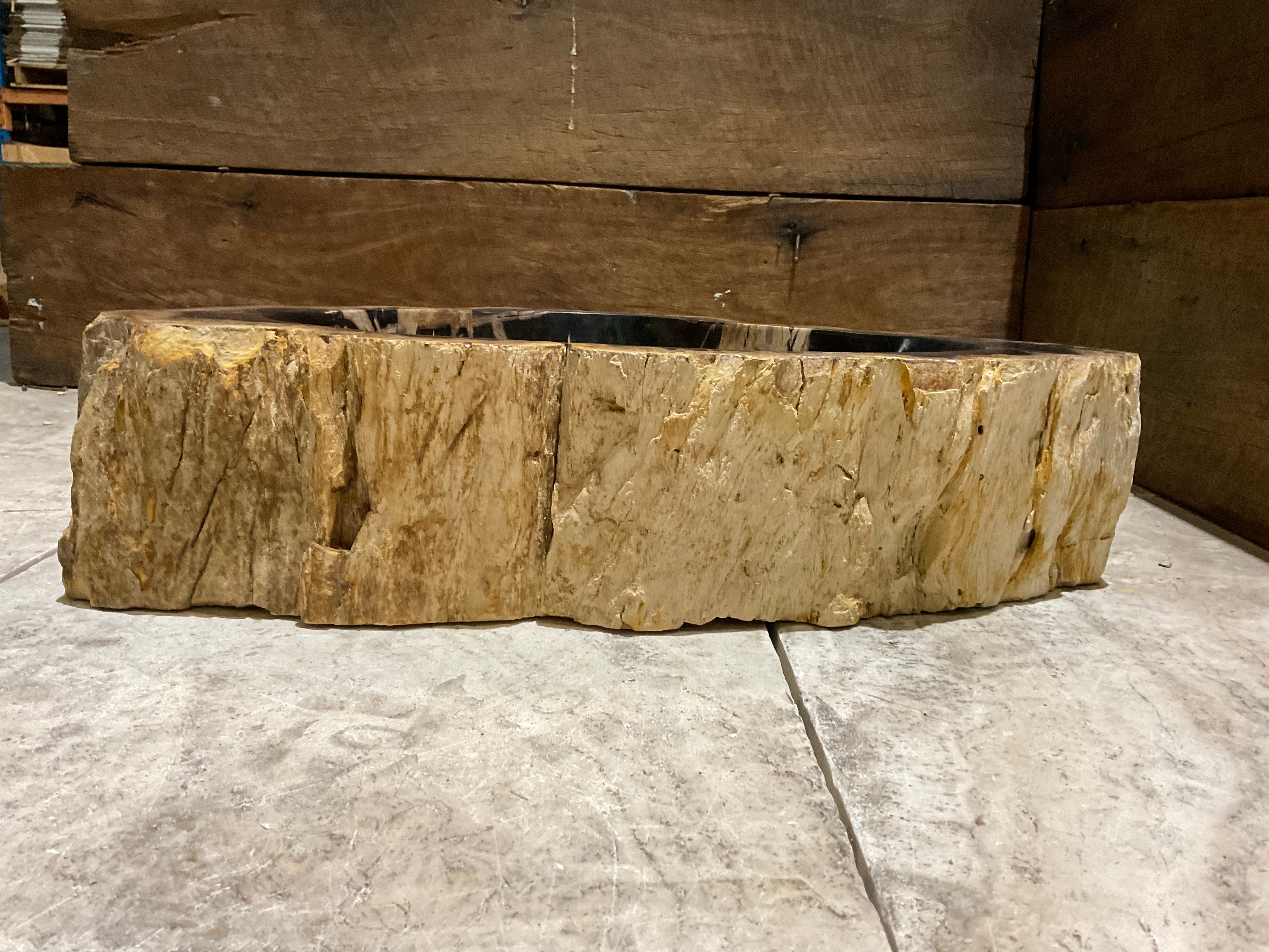 Natural Handmade Petrified Wood Basin - FSB 231035