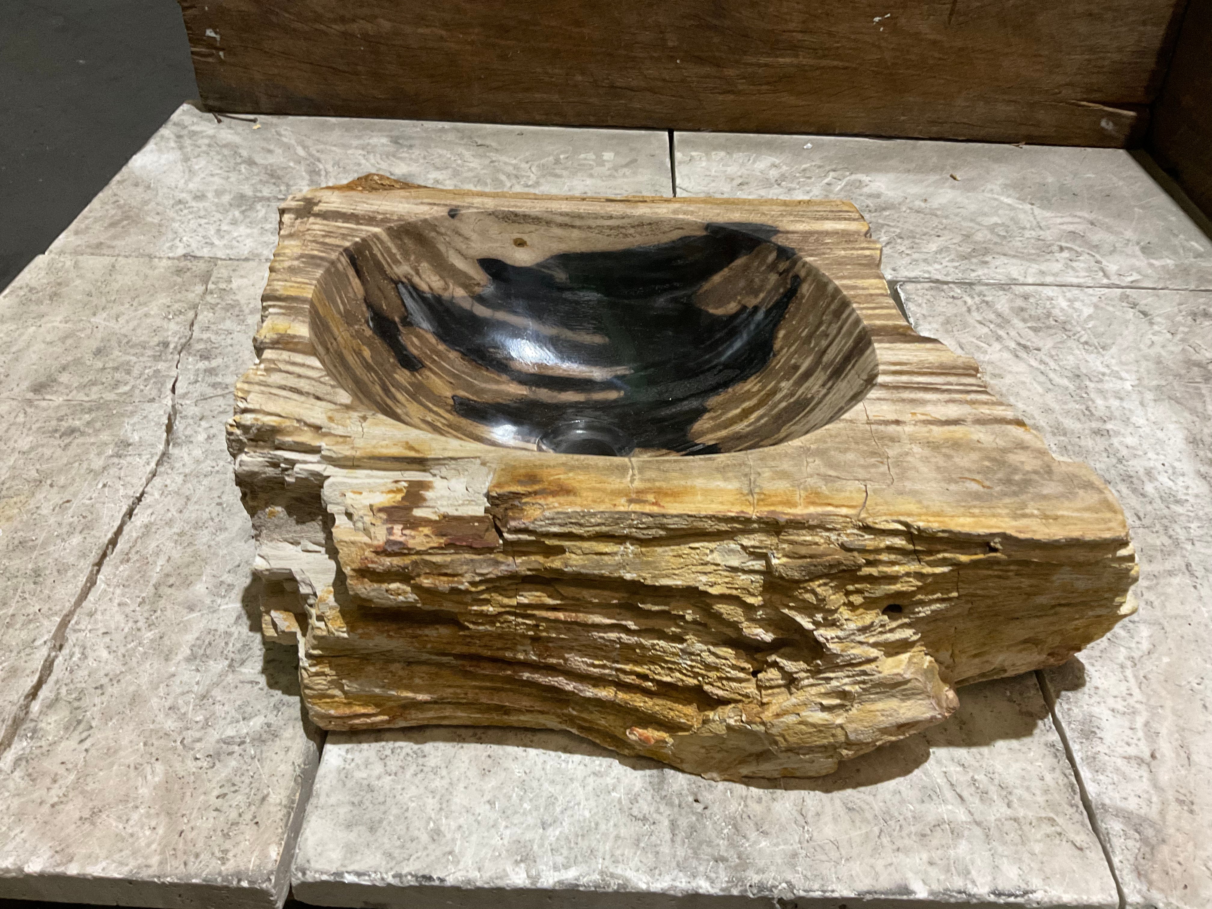 Natural Handmade Petrified Wood Basin - FS 231010