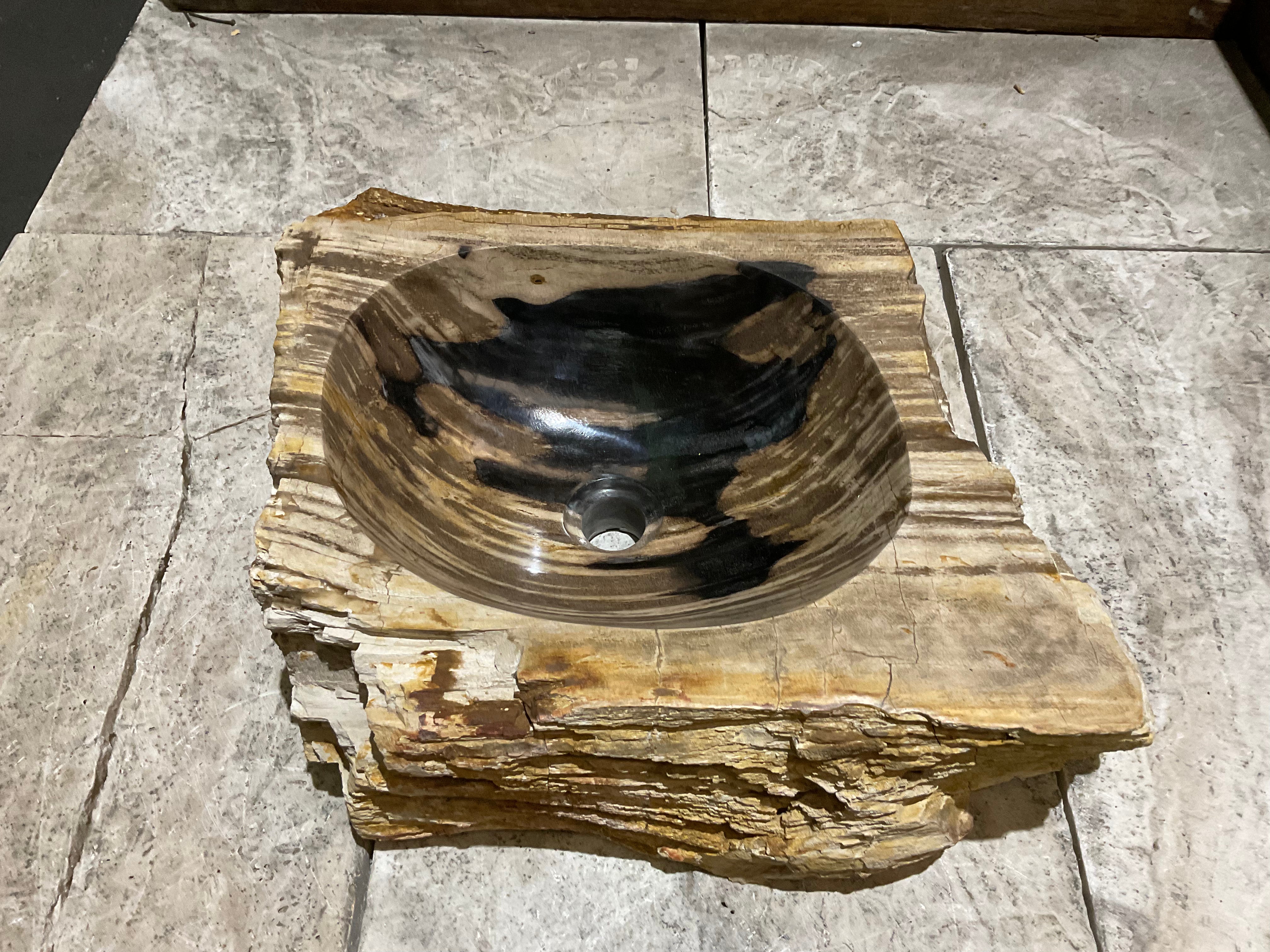 Natural Handmade Petrified Wood Basin - FS 231010