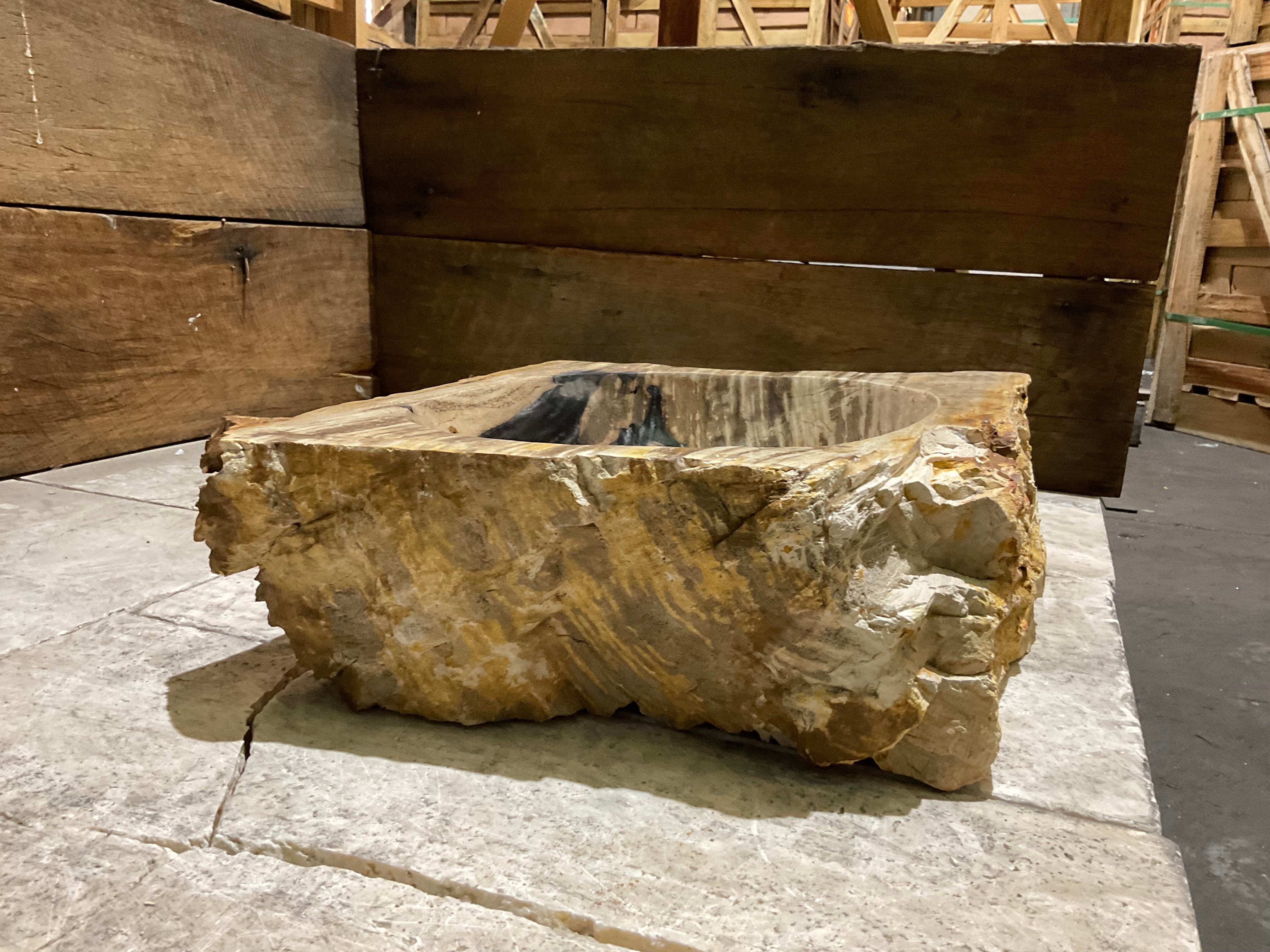 Natural Handmade Petrified Wood Basin - FS 231010