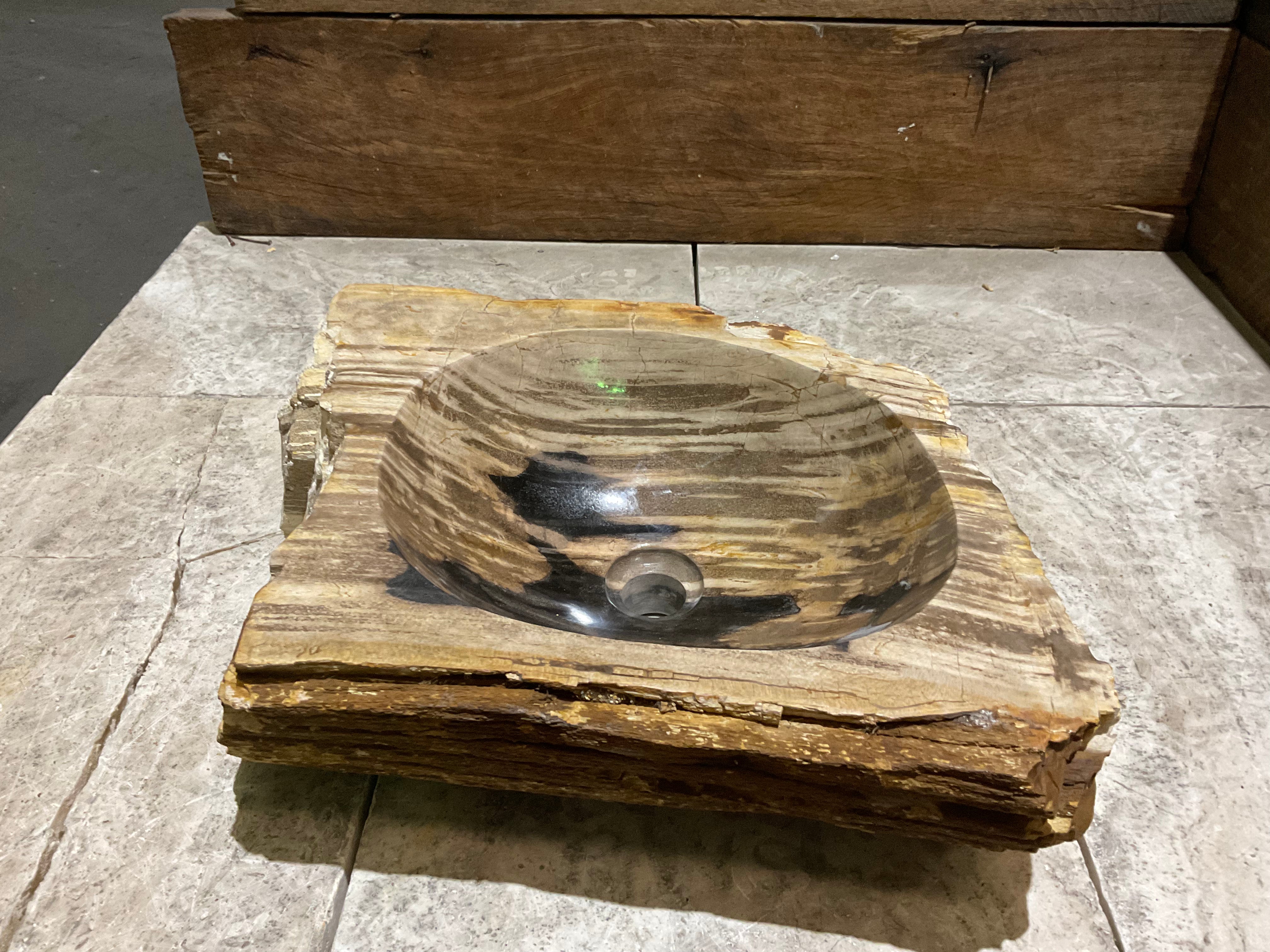 Natural Handmade Petrified Wood Basin - FS 231010