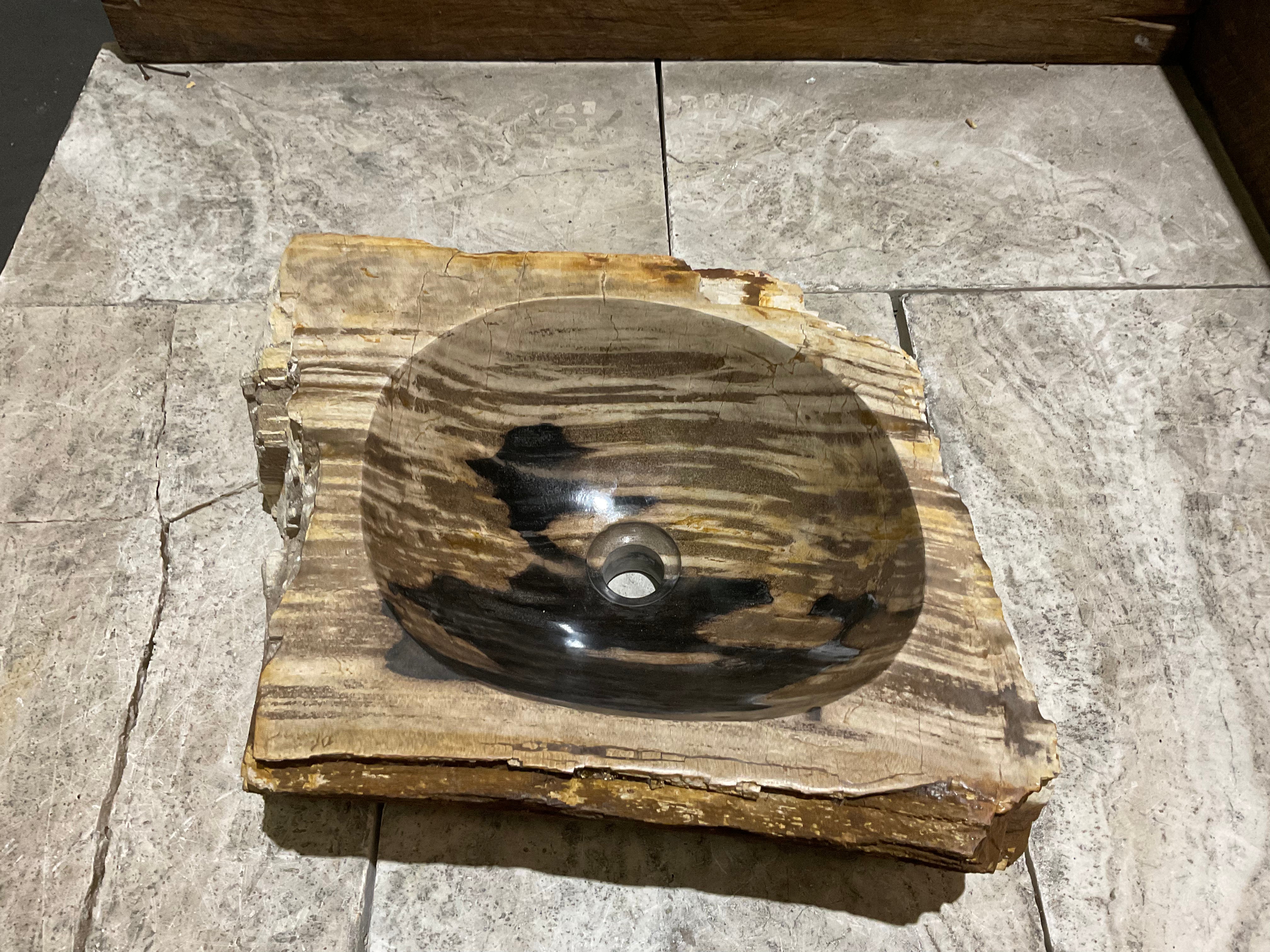 Natural Handmade Petrified Wood Basin - FS 231010