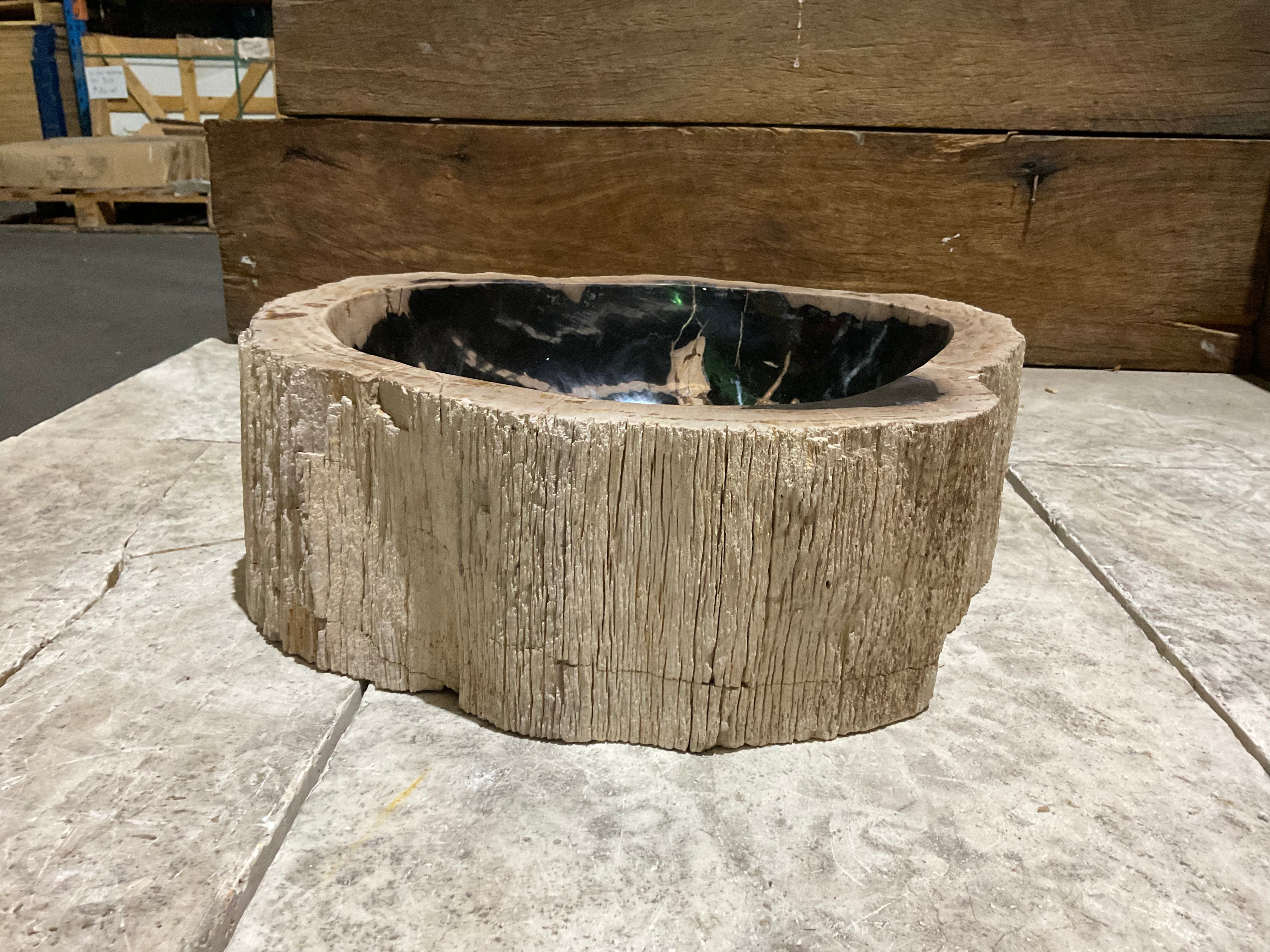 Natural Handmade Petrified Wood Basin - FSB 231010