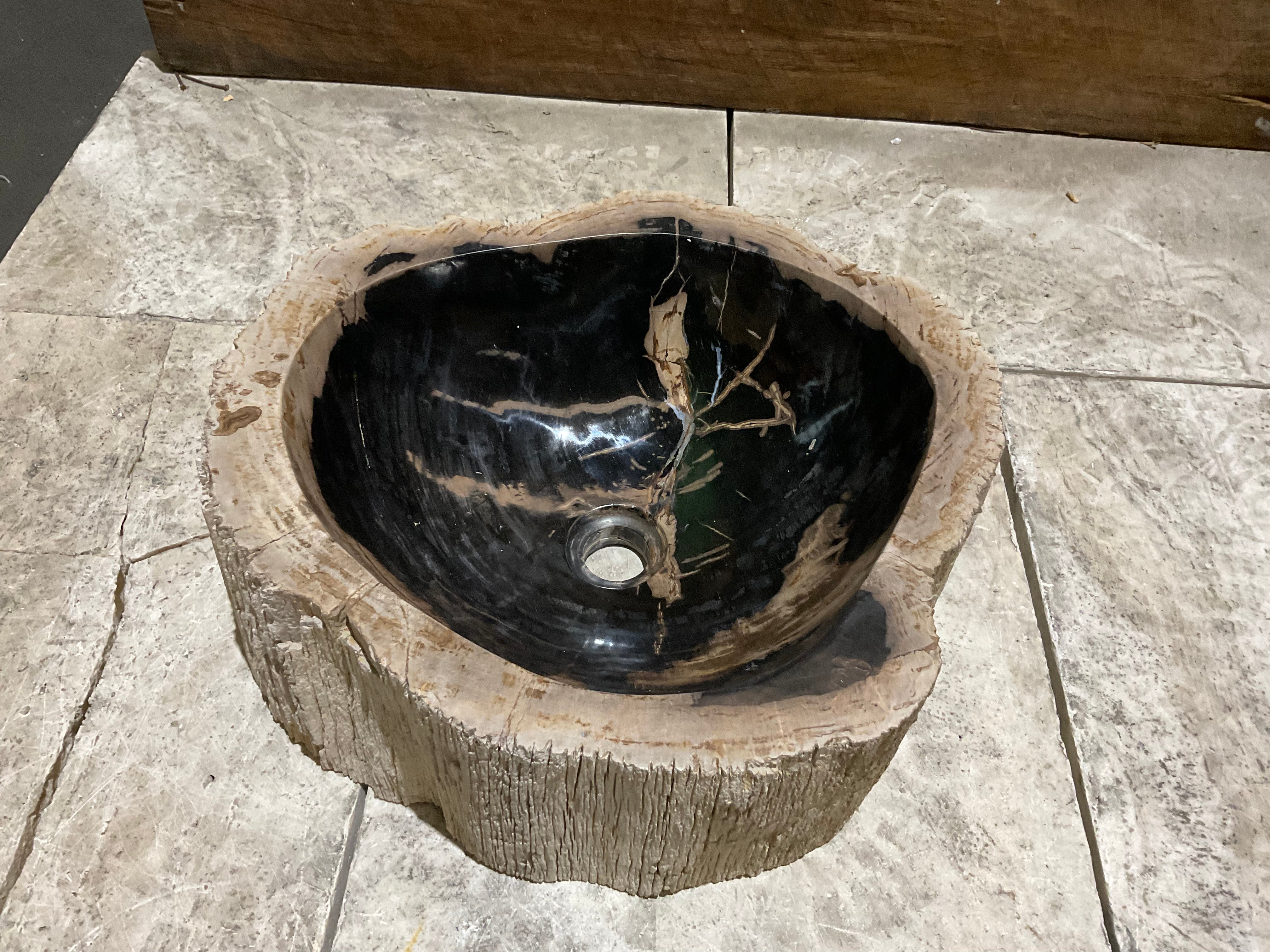 Natural Handmade Petrified Wood Basin - FSB 231010