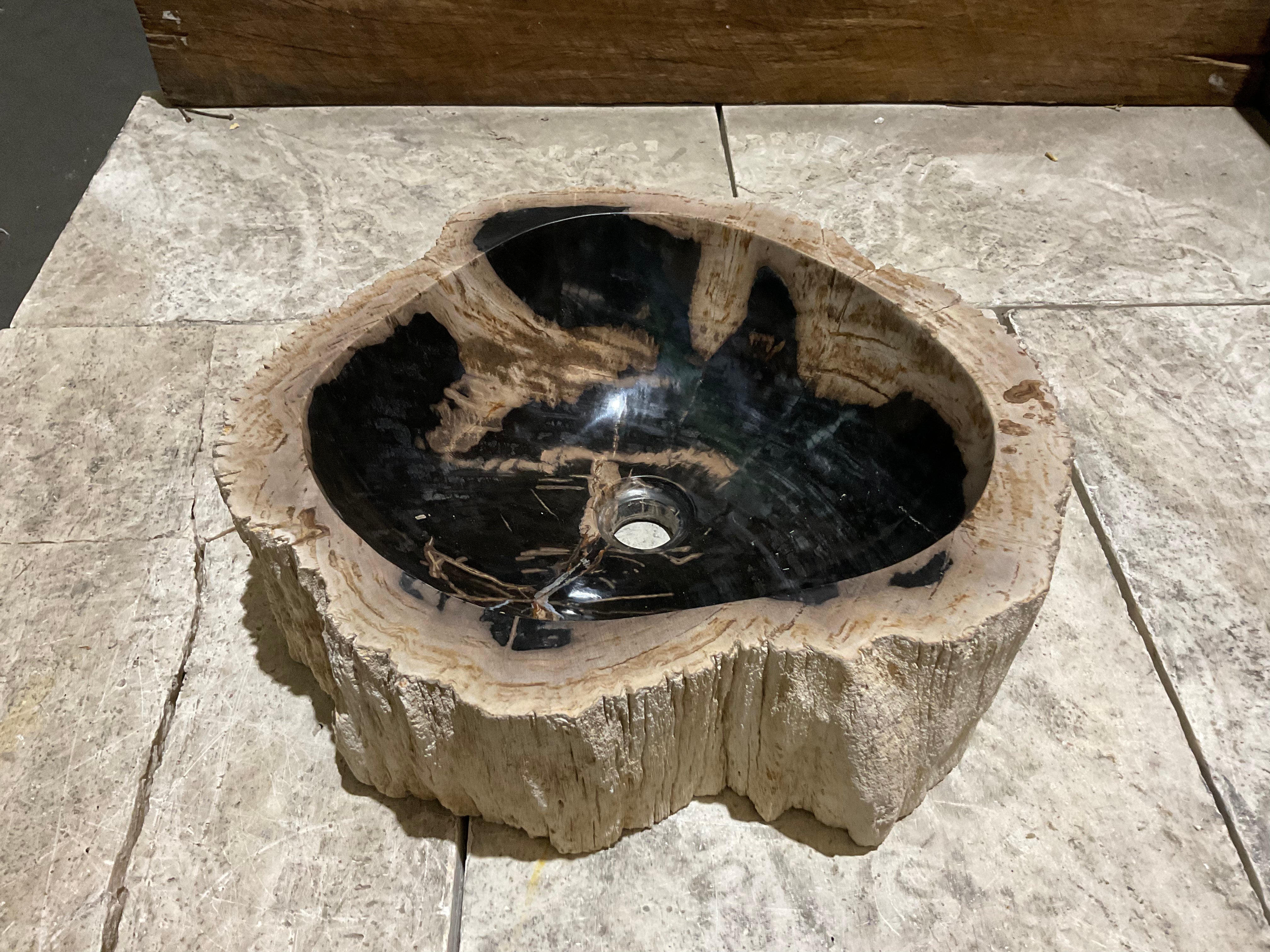 Natural Handmade Petrified Wood Basin - FSB 231010