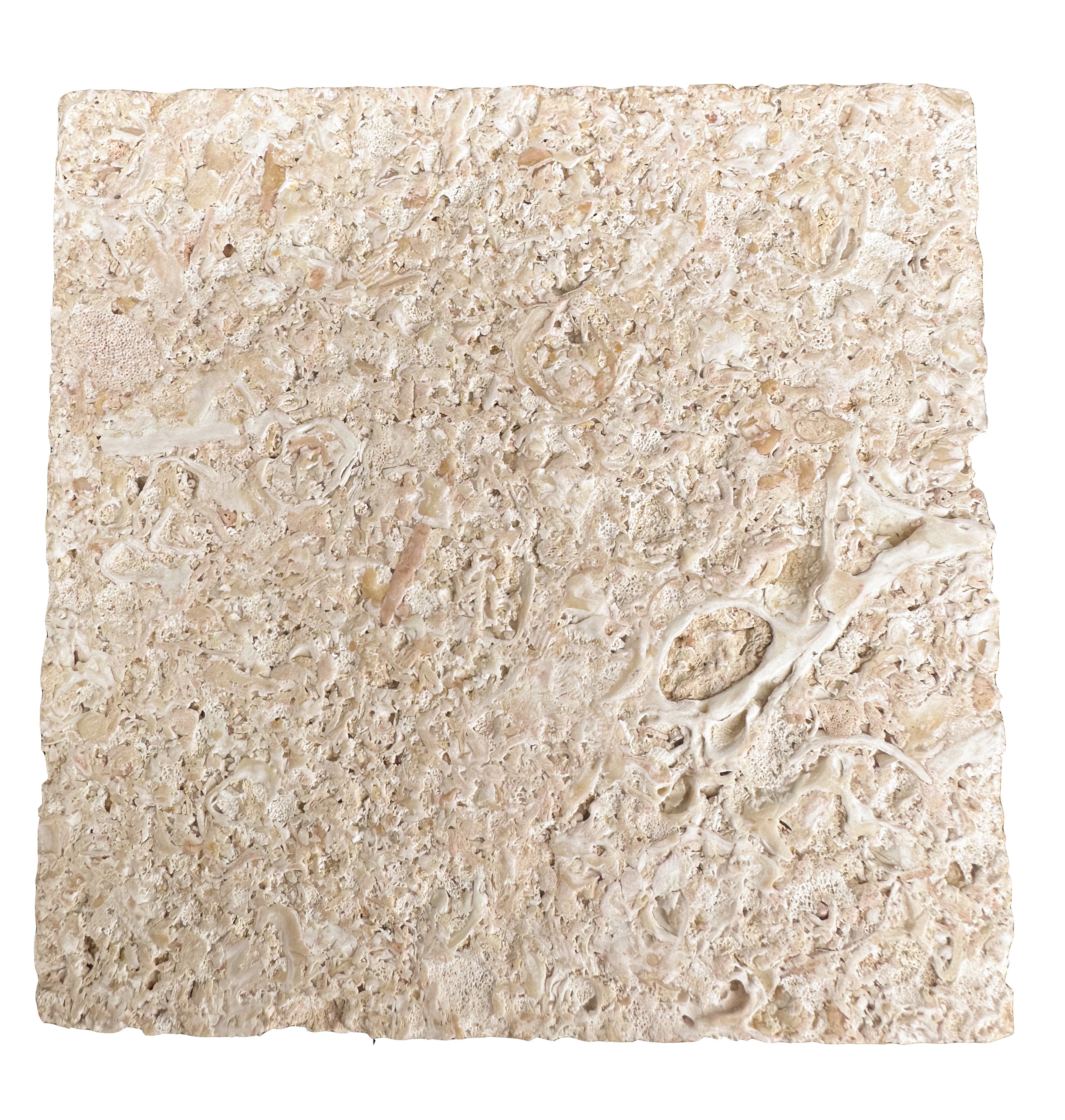 European Stone Wall Cladding Free Form Loose Stone - Fossil
