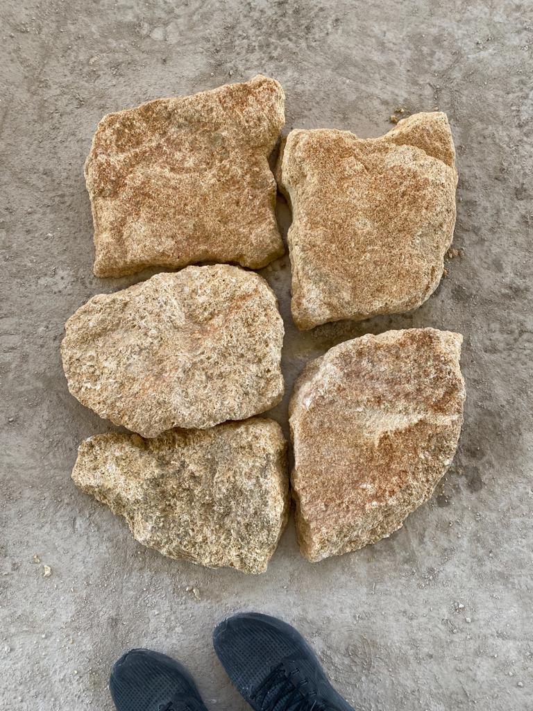 European Stone Wall Cladding Free Form Loose Stone - Fossil