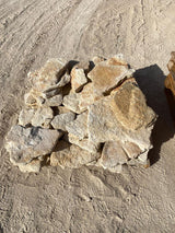 European Stone Wall Cladding Free Form Loose Stone - Fossil