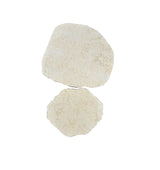 Egyptian Limestone Cream Stepping Stone - Natural Stone Garden Steppers