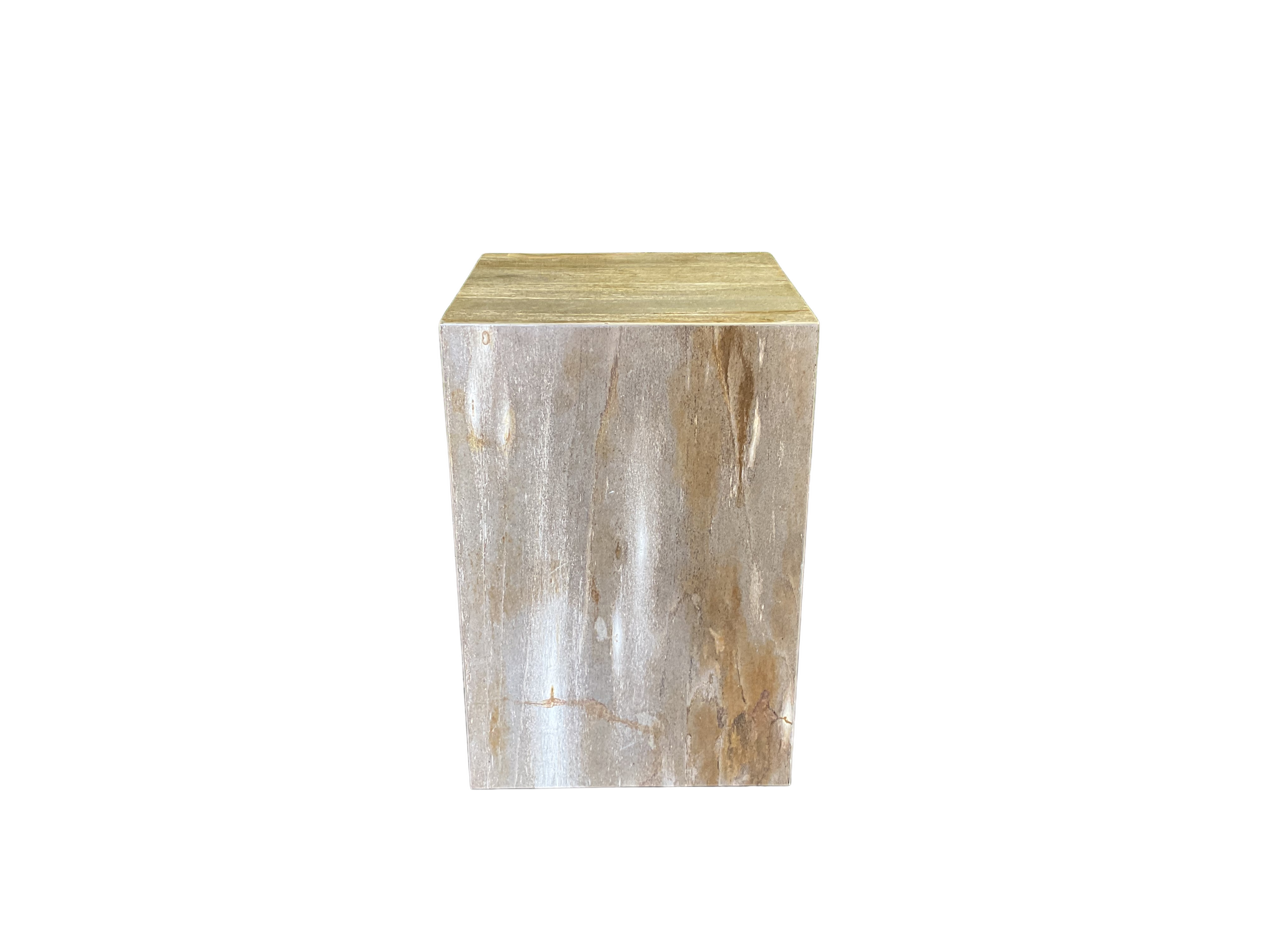 Petrified Wood Side Table - PT05