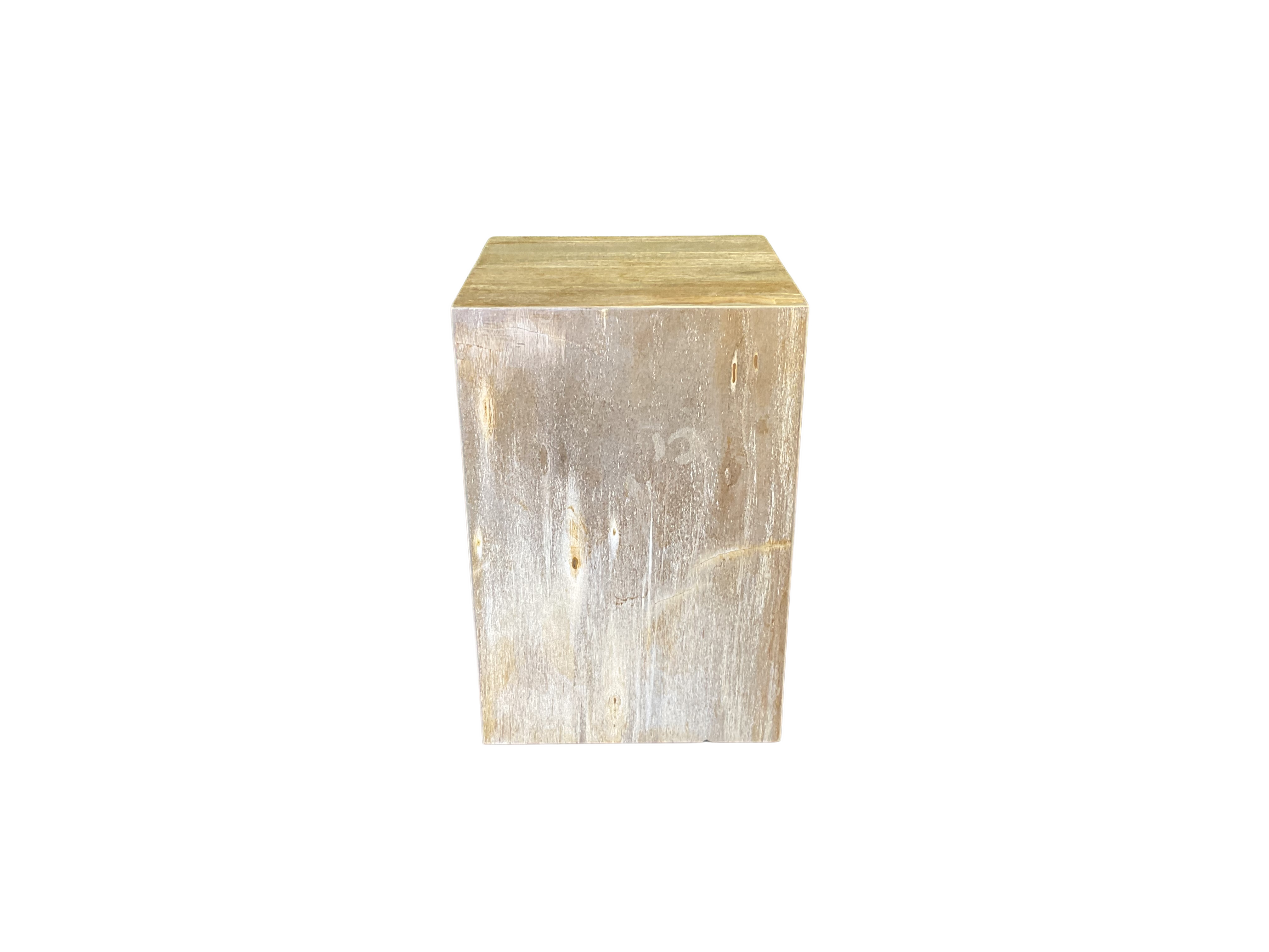 Petrified Wood Side Table - PT05