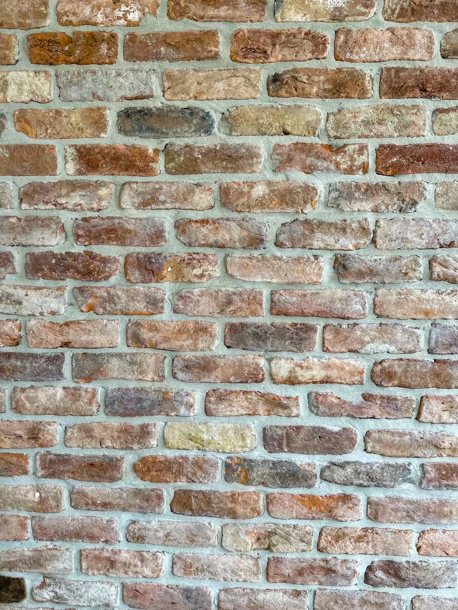 Reclaimed 19th Century European Bricks