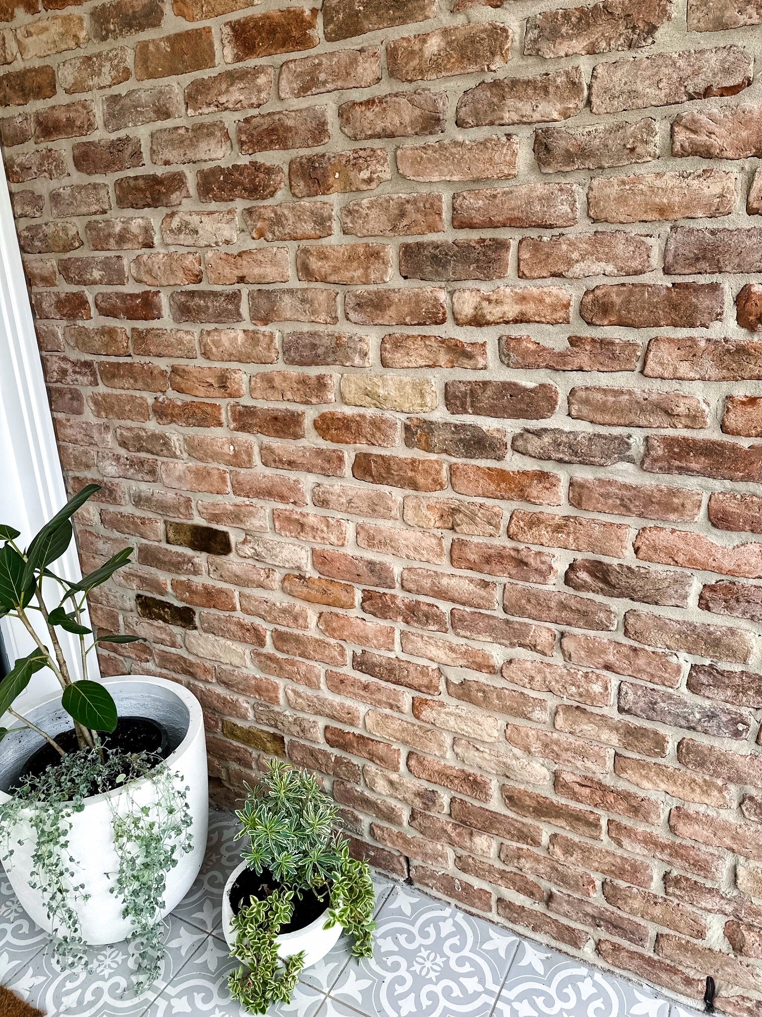 Reclaimed 19th Century European Bricks