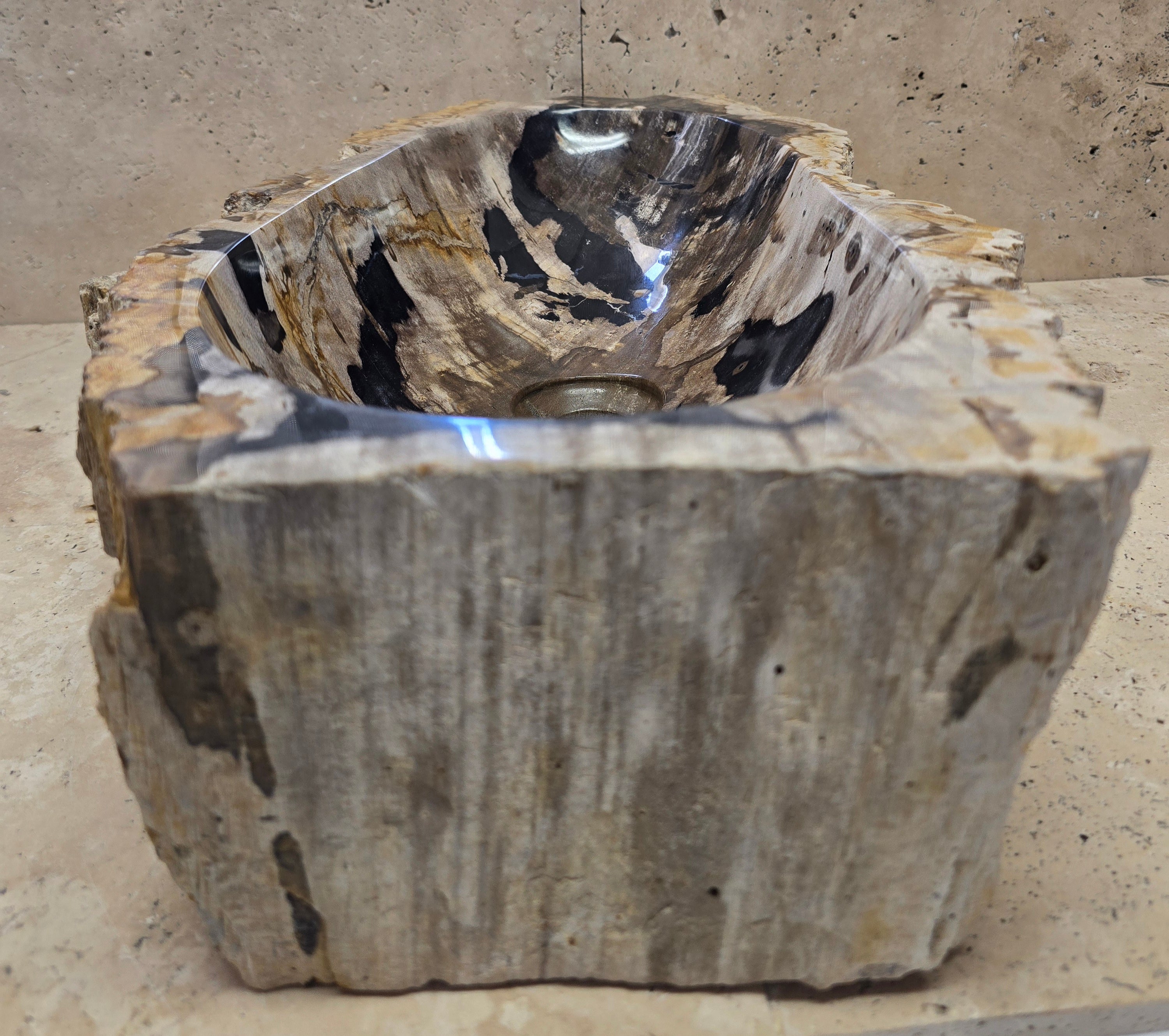 Natural Handmade Petrified Wood Basin - FSB 220903