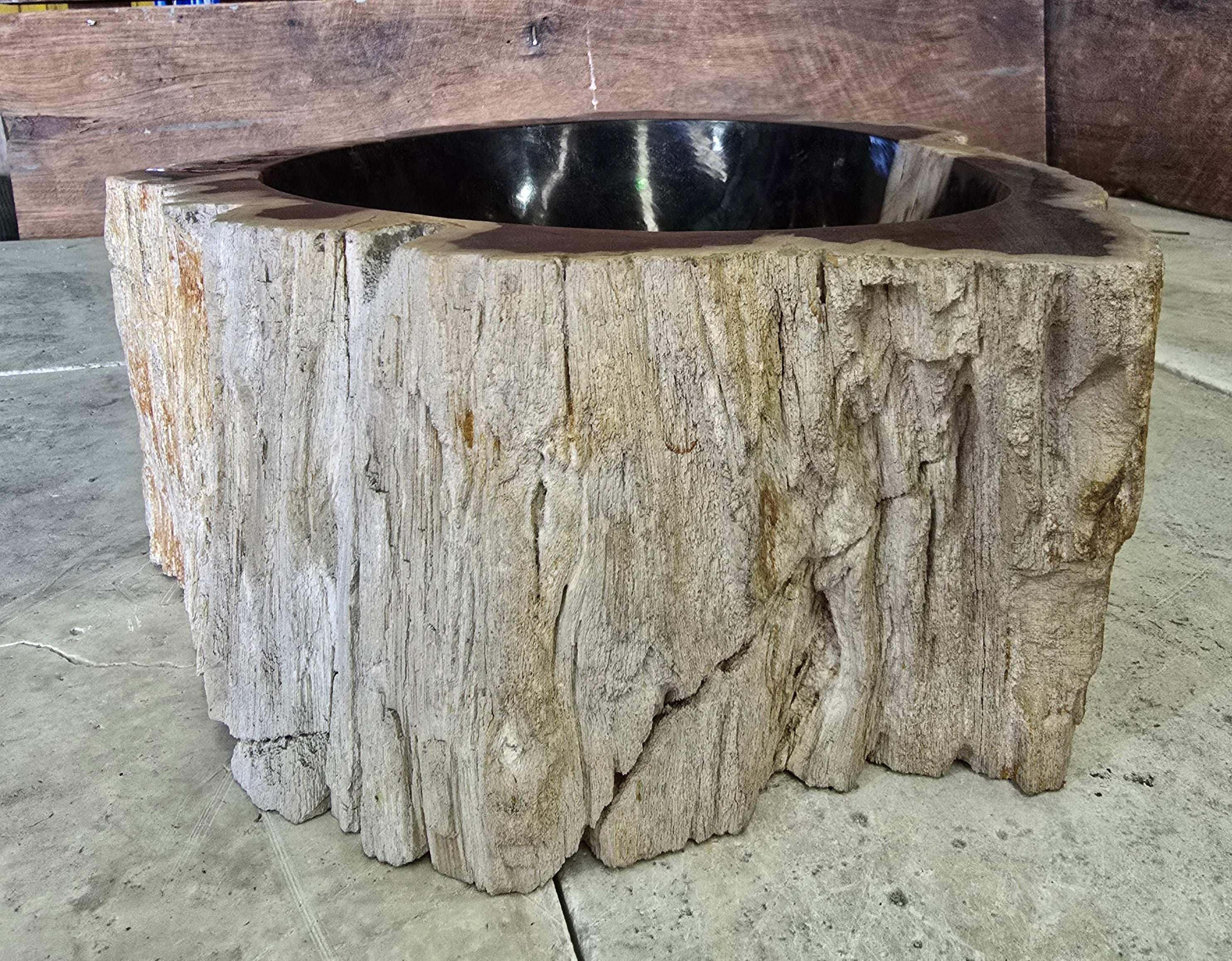 Natural Handmade Petrified Wood Basin - FSB 5060003