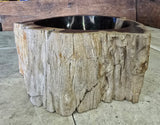 Natural Handmade Petrified Wood Basin - FSB 5060003