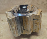 Natural Handmade Petrified Wood Basin - FSB 220903