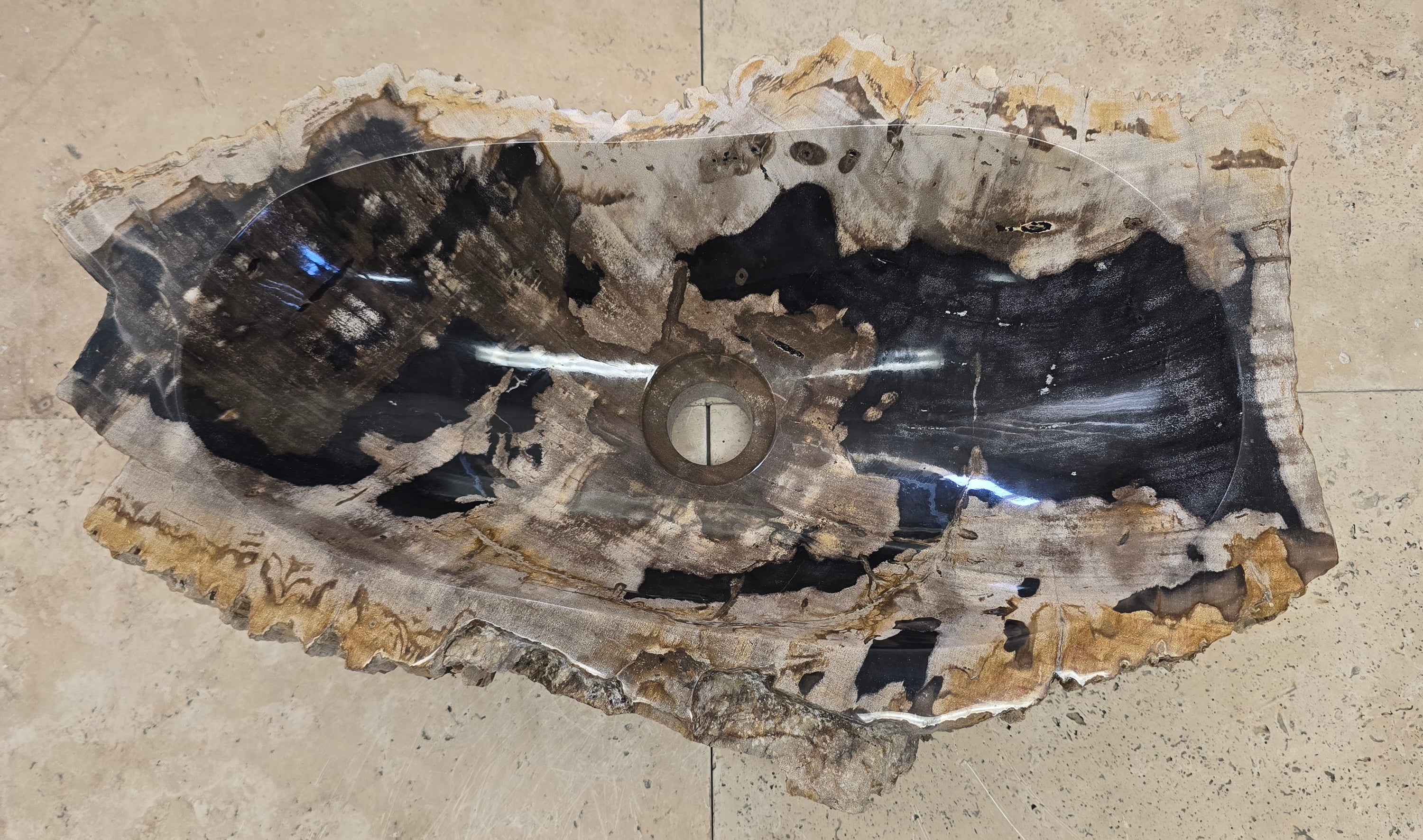 Natural Handmade Petrified Wood Basin - FSB 220903