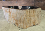Natural Handmade Petrified Wood Basin - FSB 5060003