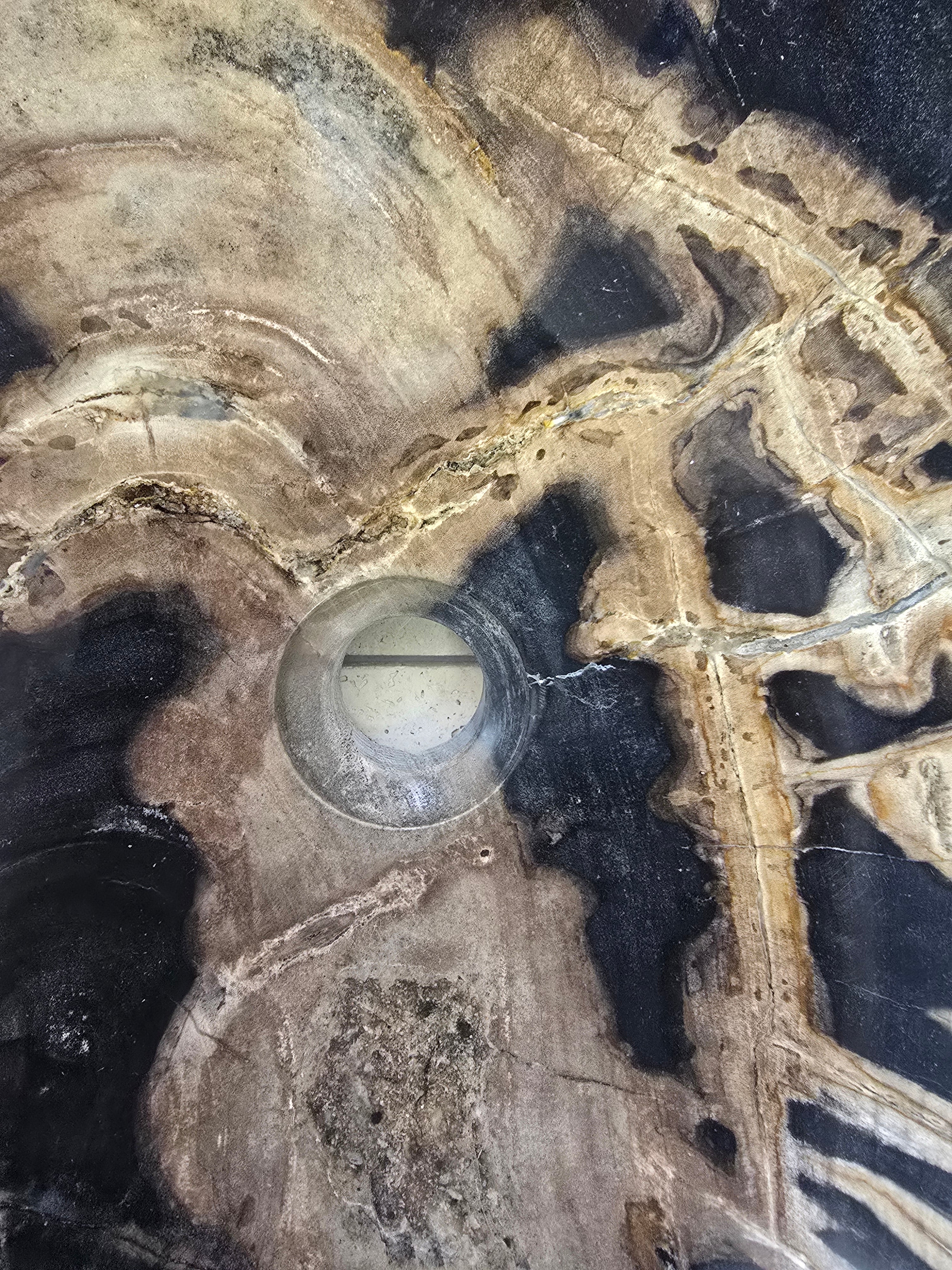 Natural Handmade Petrified Wood Basin - FSB 240902