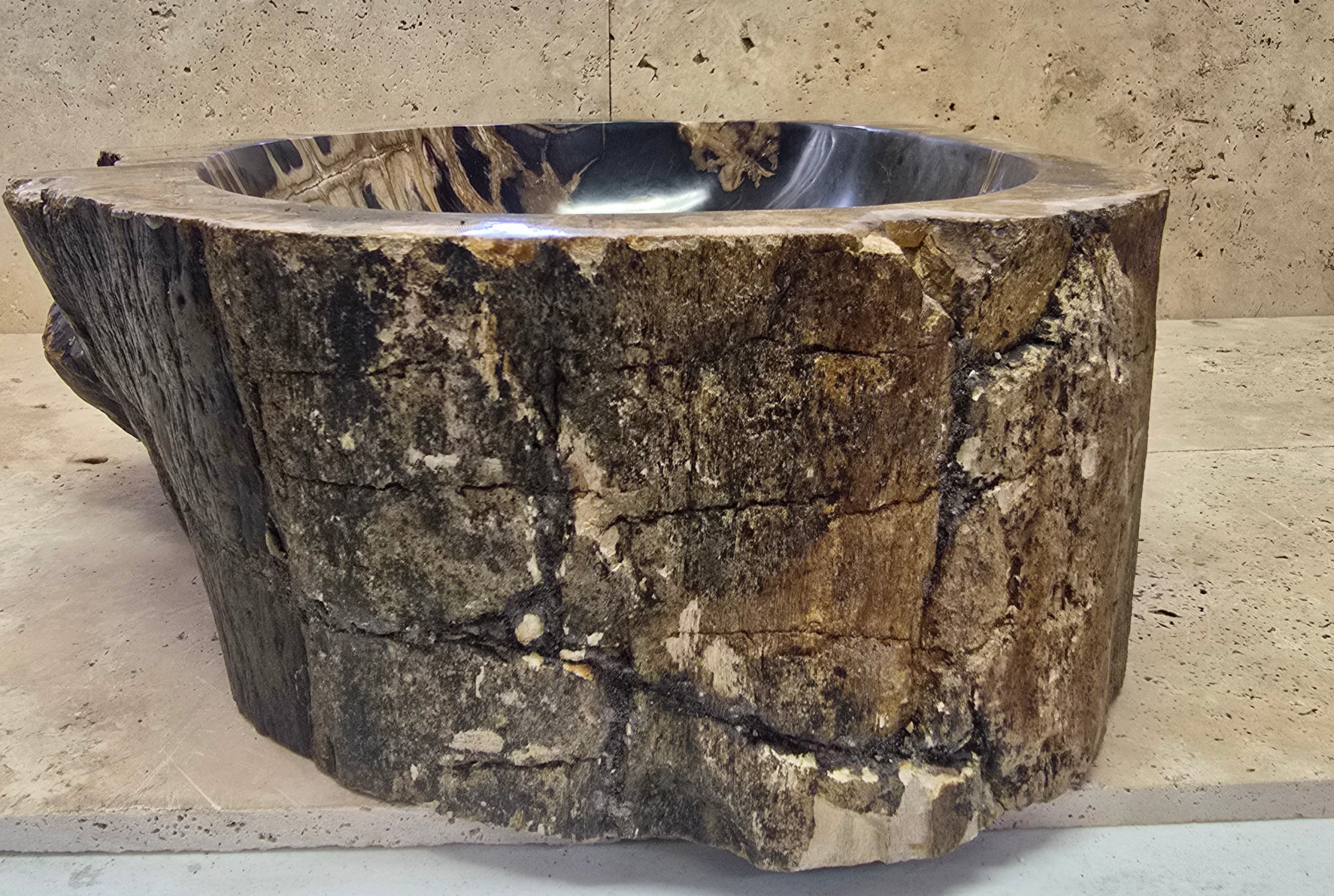 Natural Handmade Petrified Wood Basin - FSB 240902