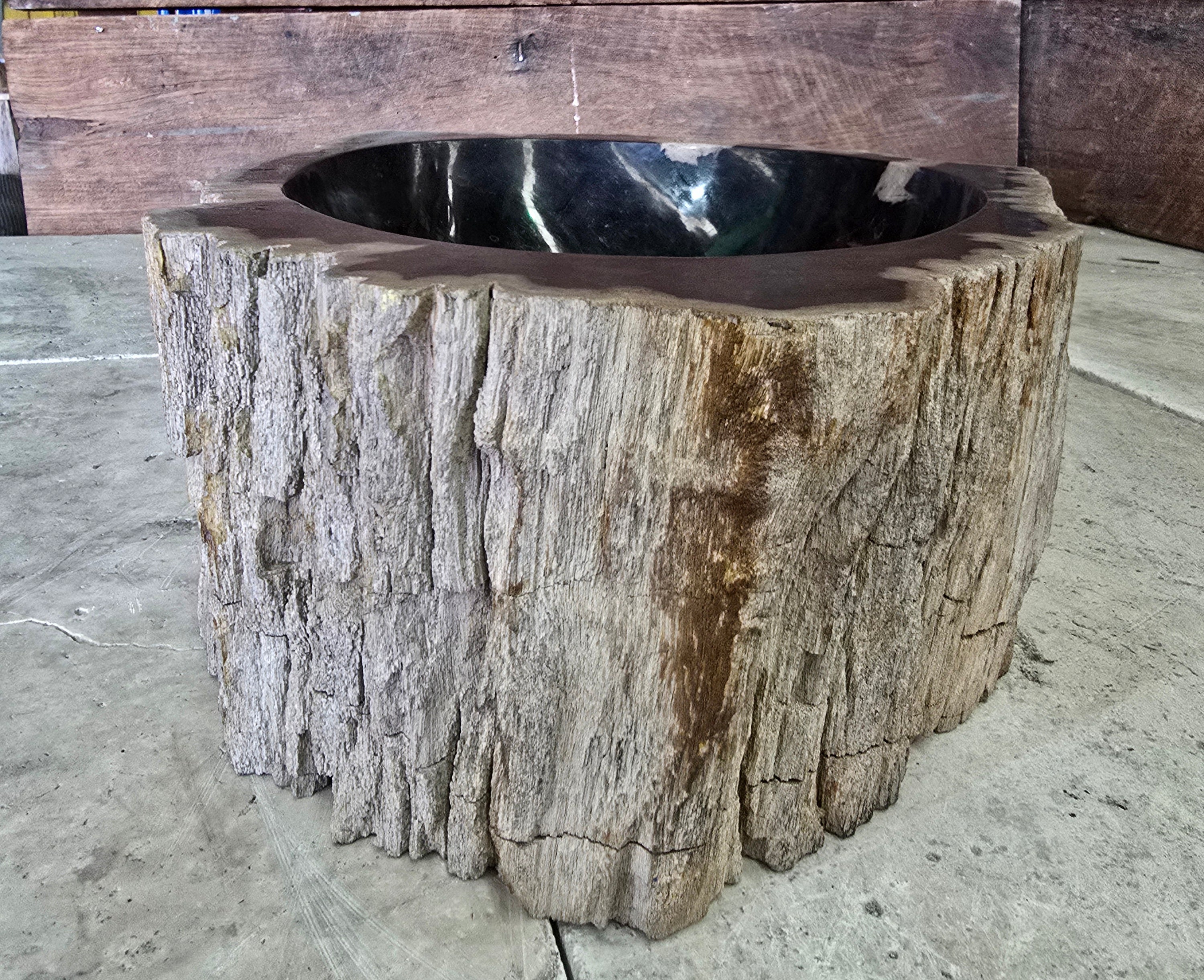 Natural Handmade Petrified Wood Basin - FSB 5060003