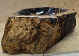 Natural Handmade Petrified Wood Basin - FSB 240902
